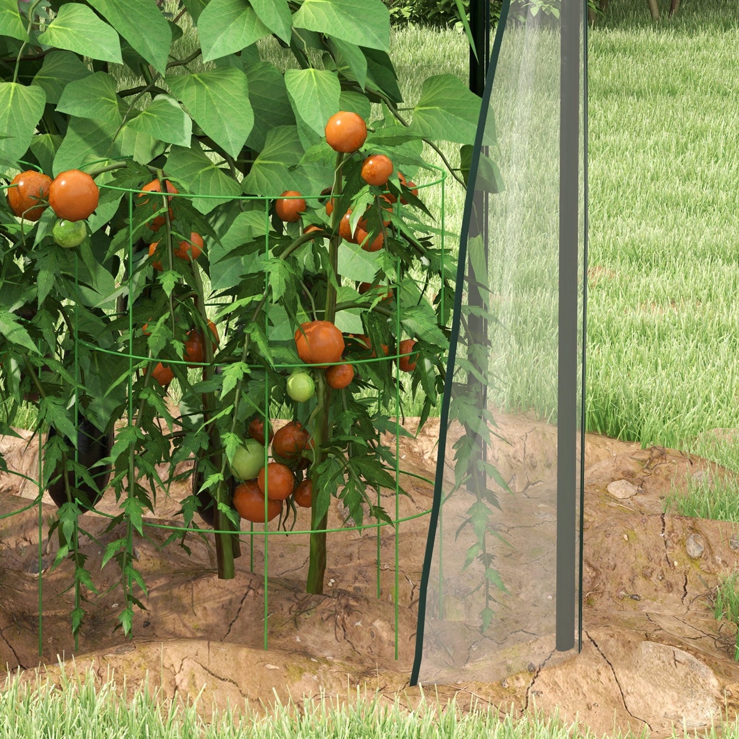 Mini Greenhouse, Garden Tomato Growhouse with 2 Zipped Doors