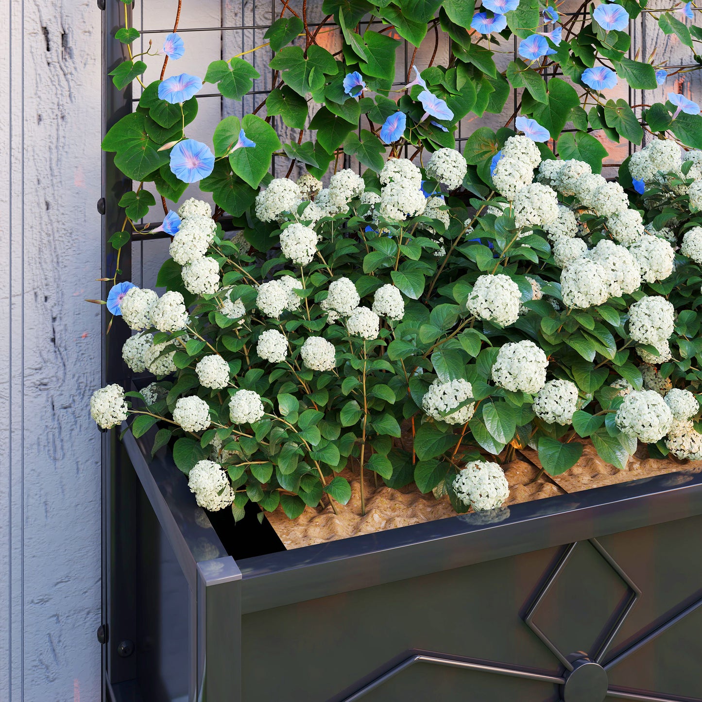 Raised Bed for Garden with Trellis