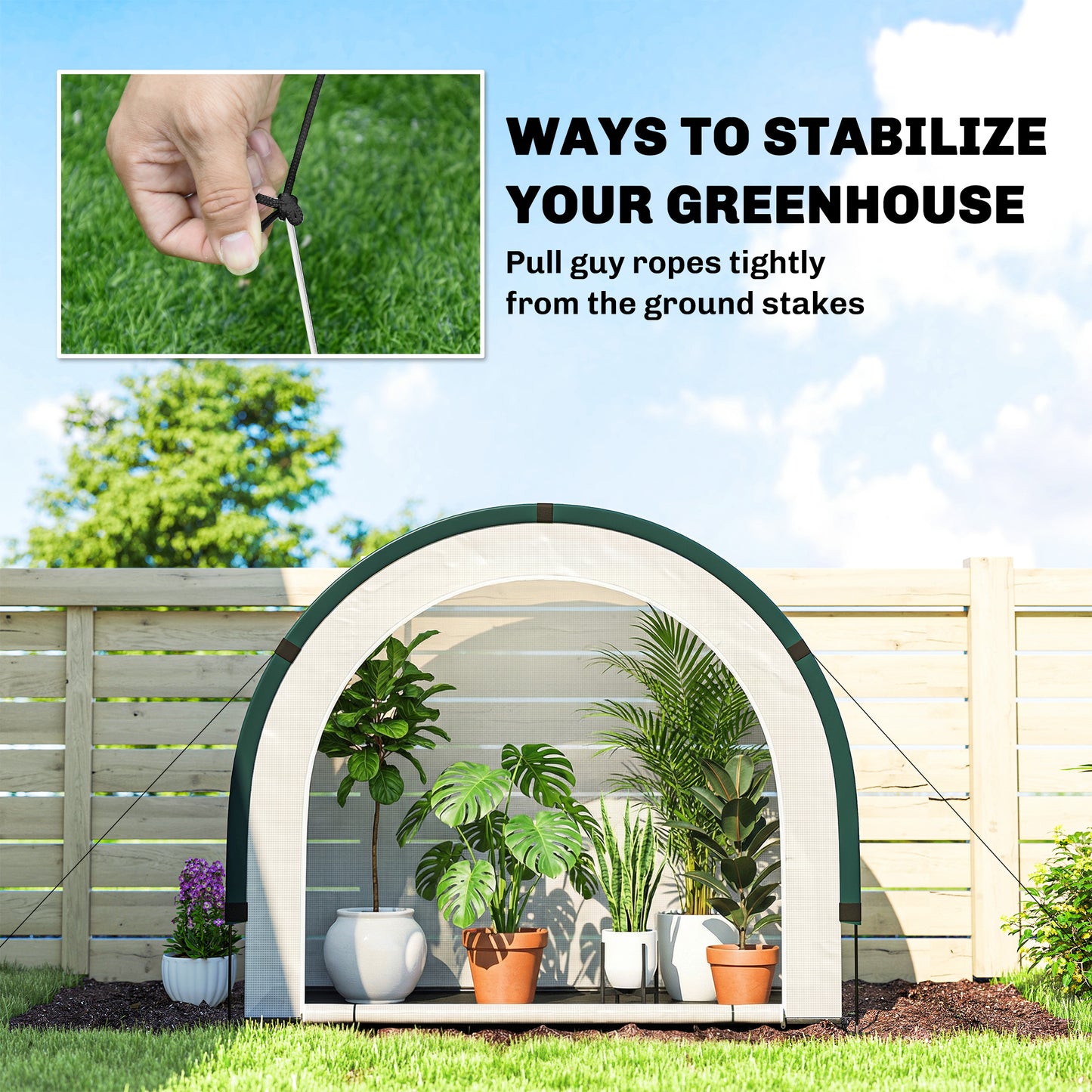 Foldable Small Greenhouse, Portable Green House Mini Greenhouse