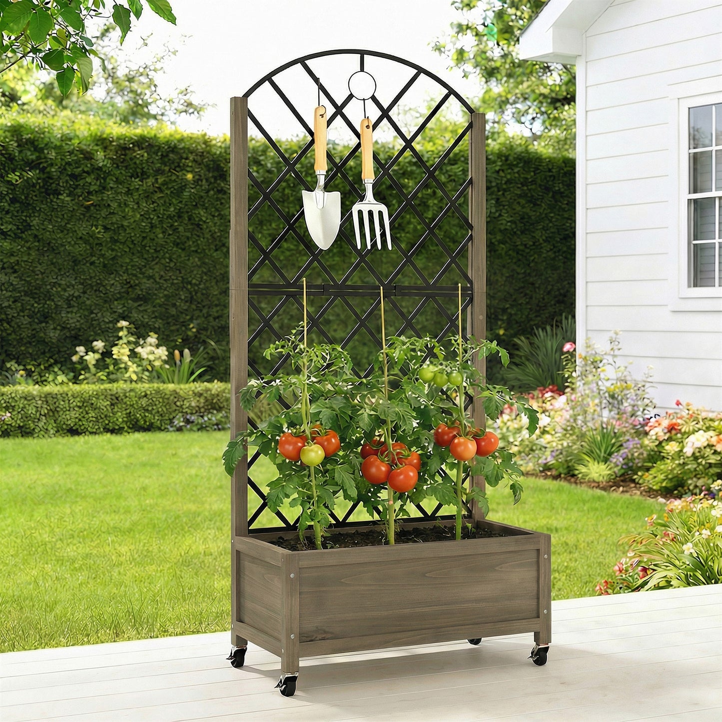 Raised Garden Bed with Metal Trellis