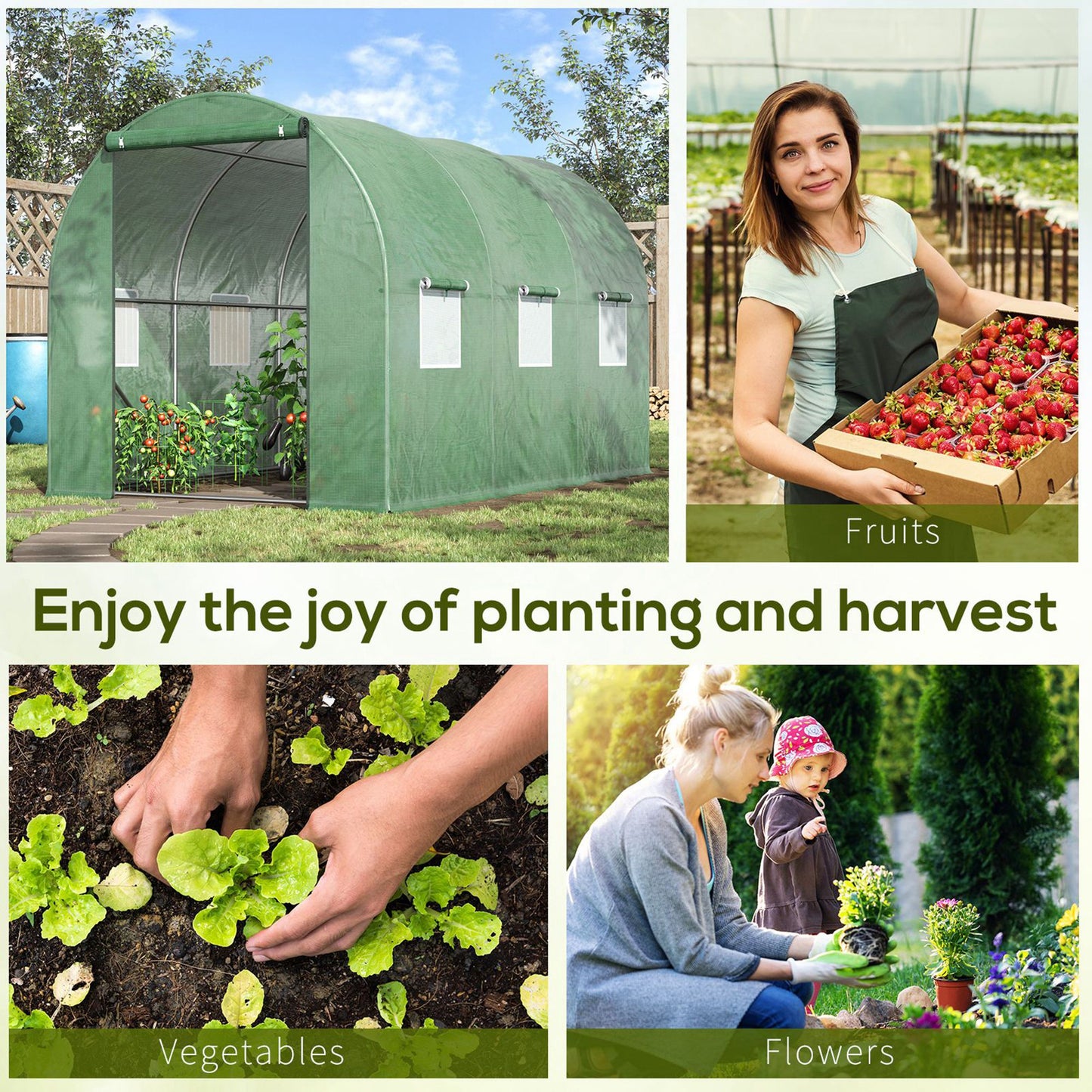 Walk-in Polytunnel Greenhouse (1)