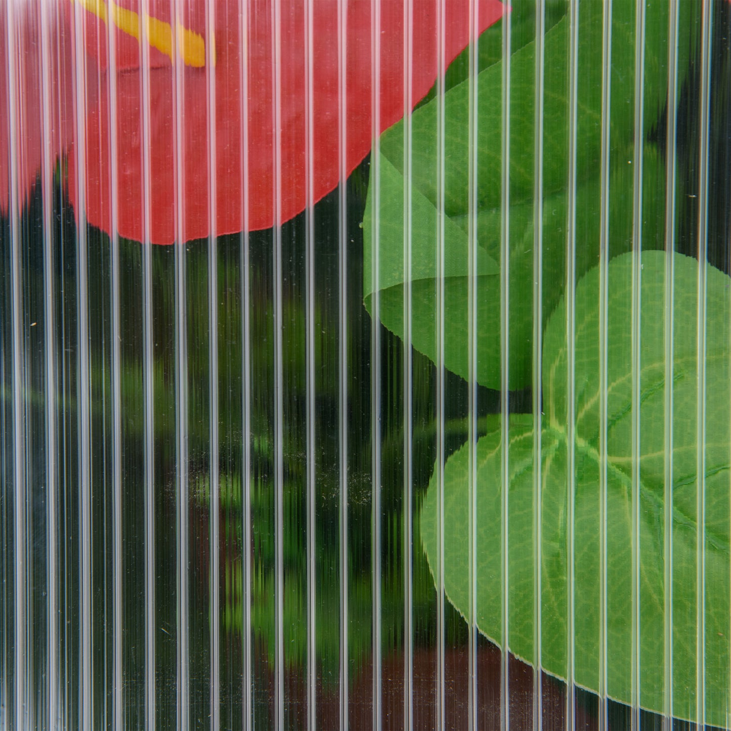 Wooden Cold Frame Garden Polycarbonate Greenhouse