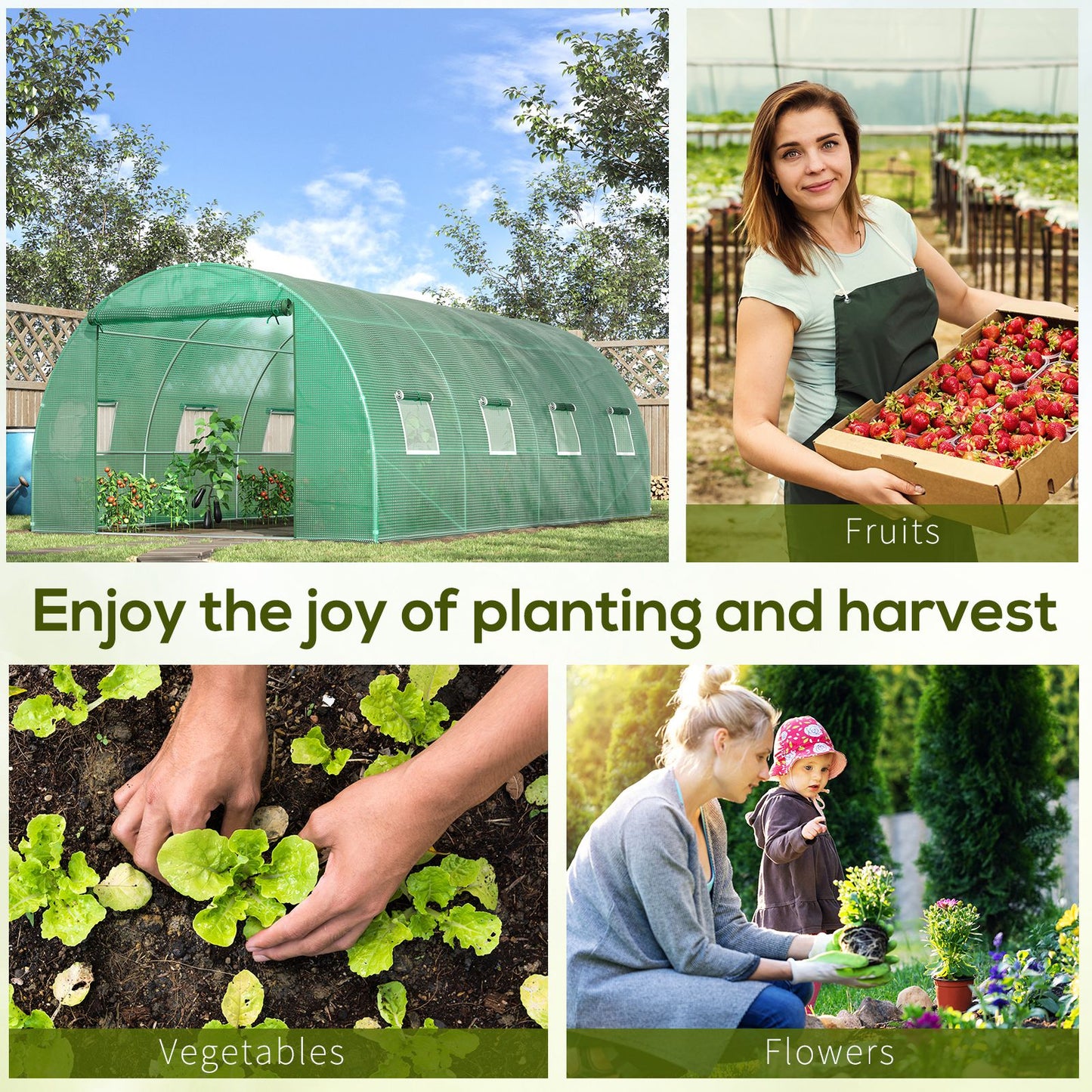 Walk-in Polytunnel Greenhouse (3)