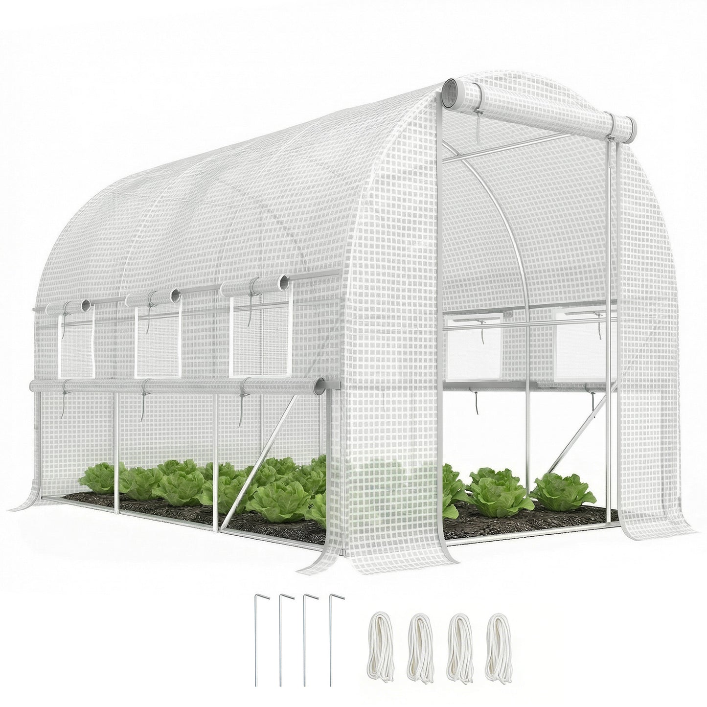 Walk-in Polytunnel Greenhouse Green House with Roll-up Sidewalls