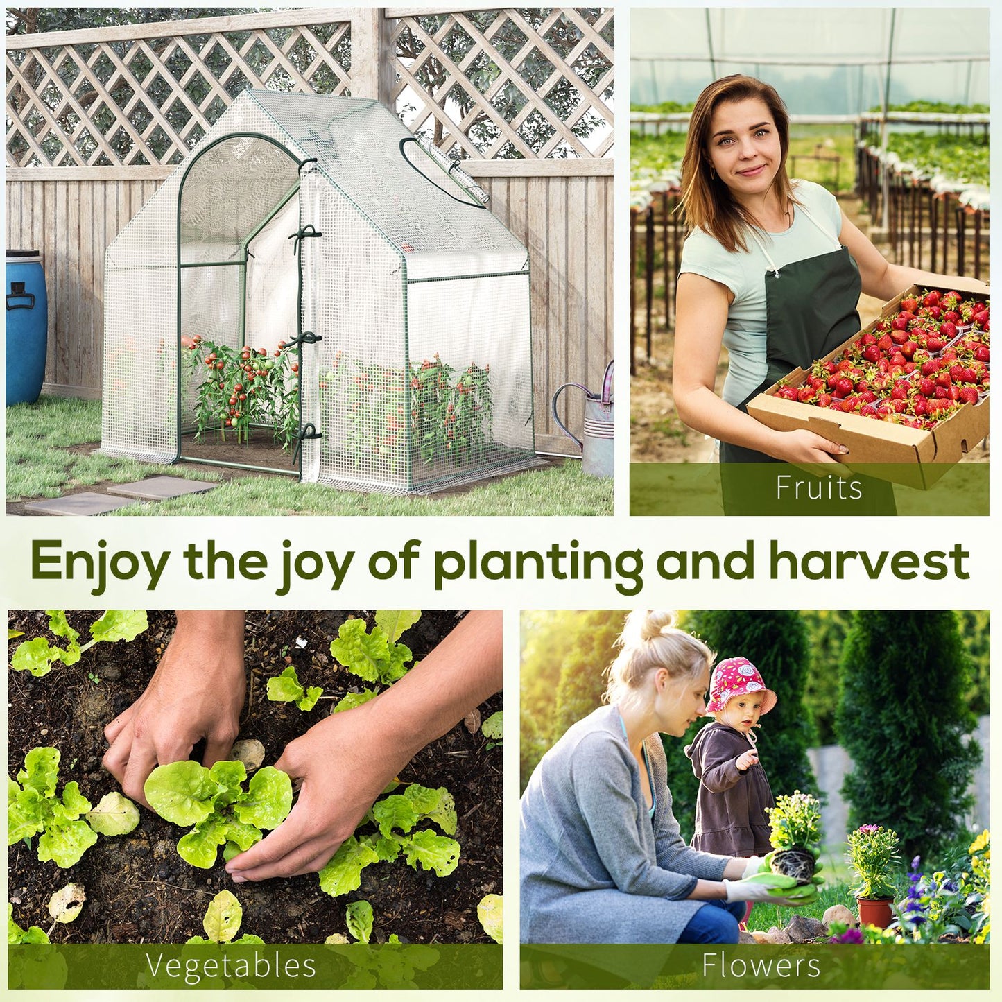 Walk In Tomato Greenhouse Garden Outdoor Mini Greenhouse Flower