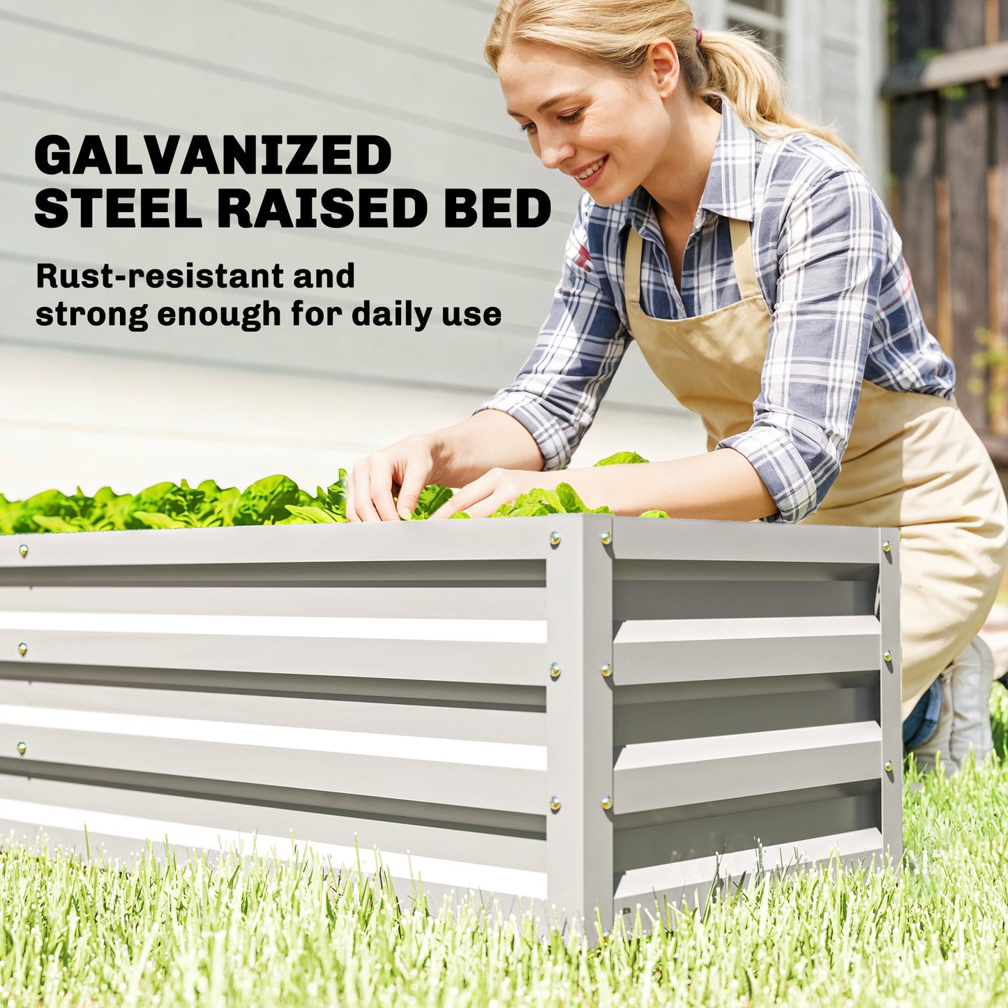 Small Greenhouse with Raised Garden Bed