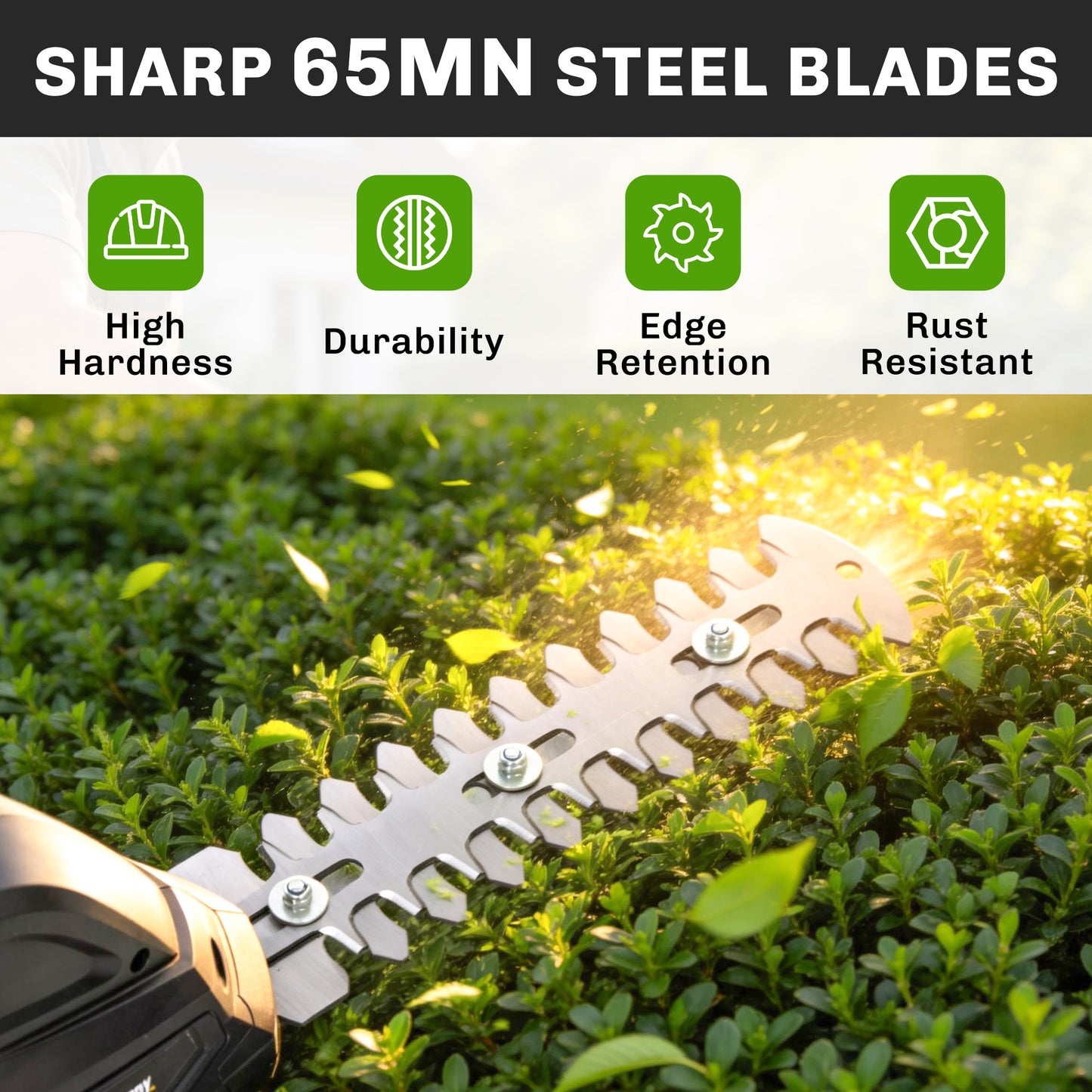 2-in-1 Cordless Hedge Trimmer & Grass Shear