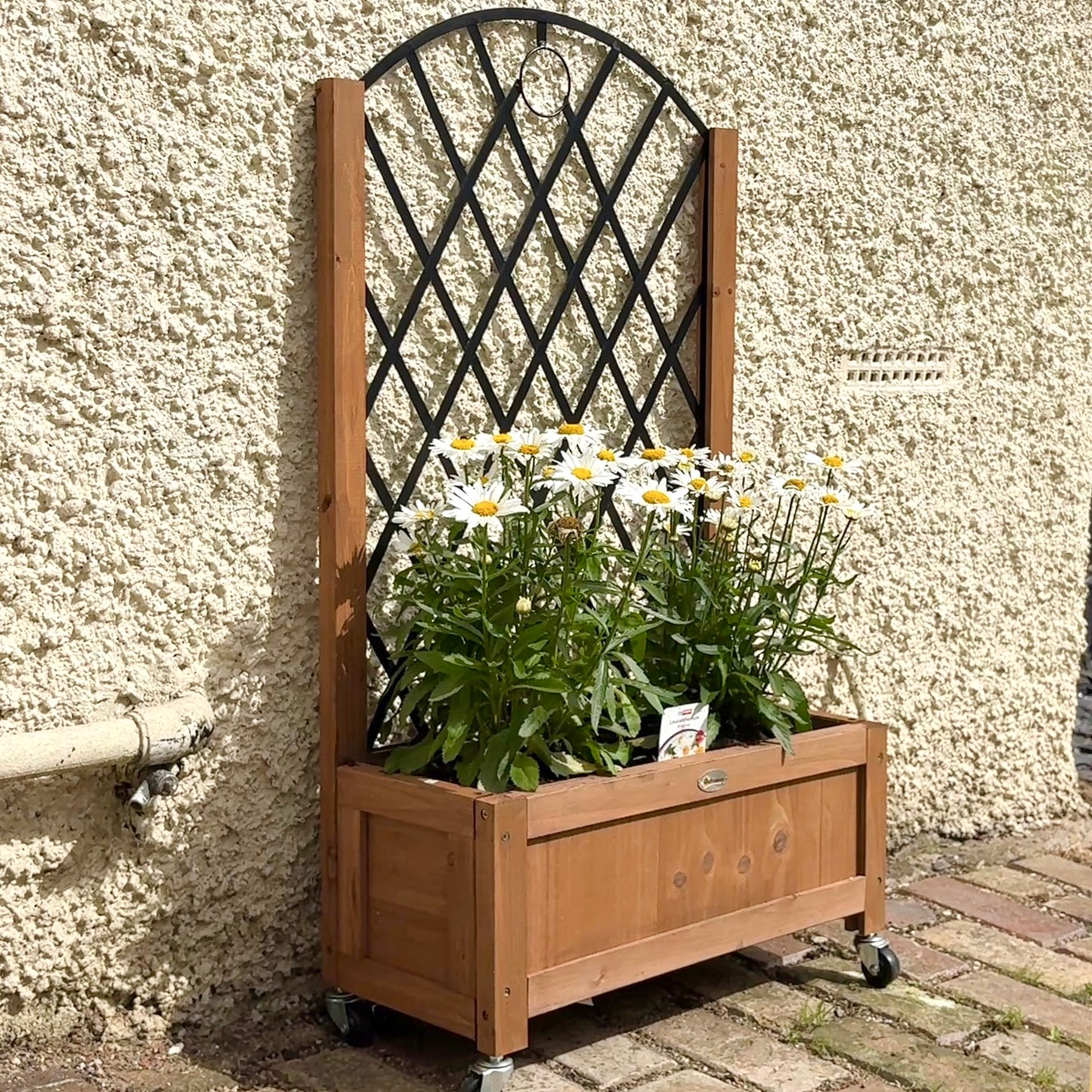 Wooden Planter, with Metal Trellis - Brown/Black (1)