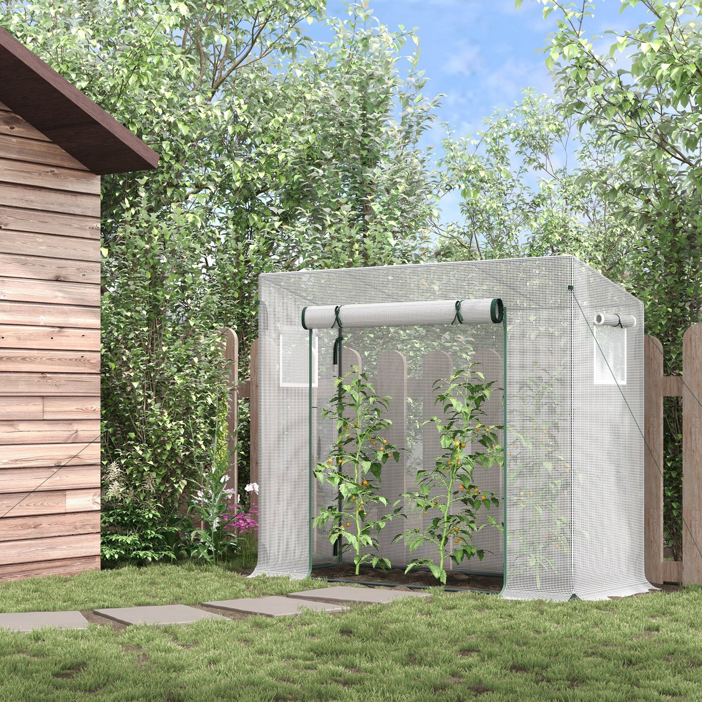 Small Walk-in Garden Greenhouse with Steel Frame