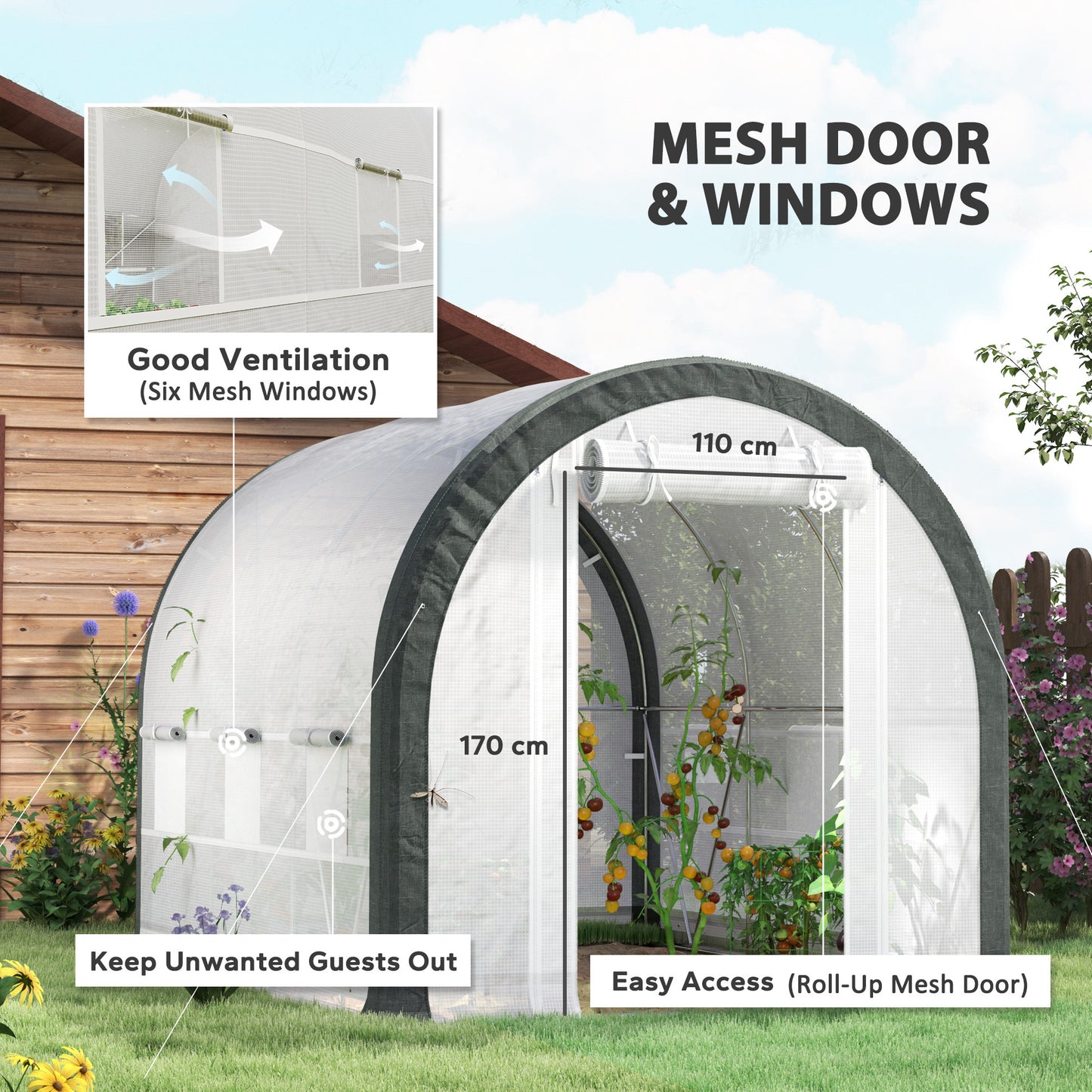 3 x 2(m) Walk-In Tunnel Greenhouse, with Accessories