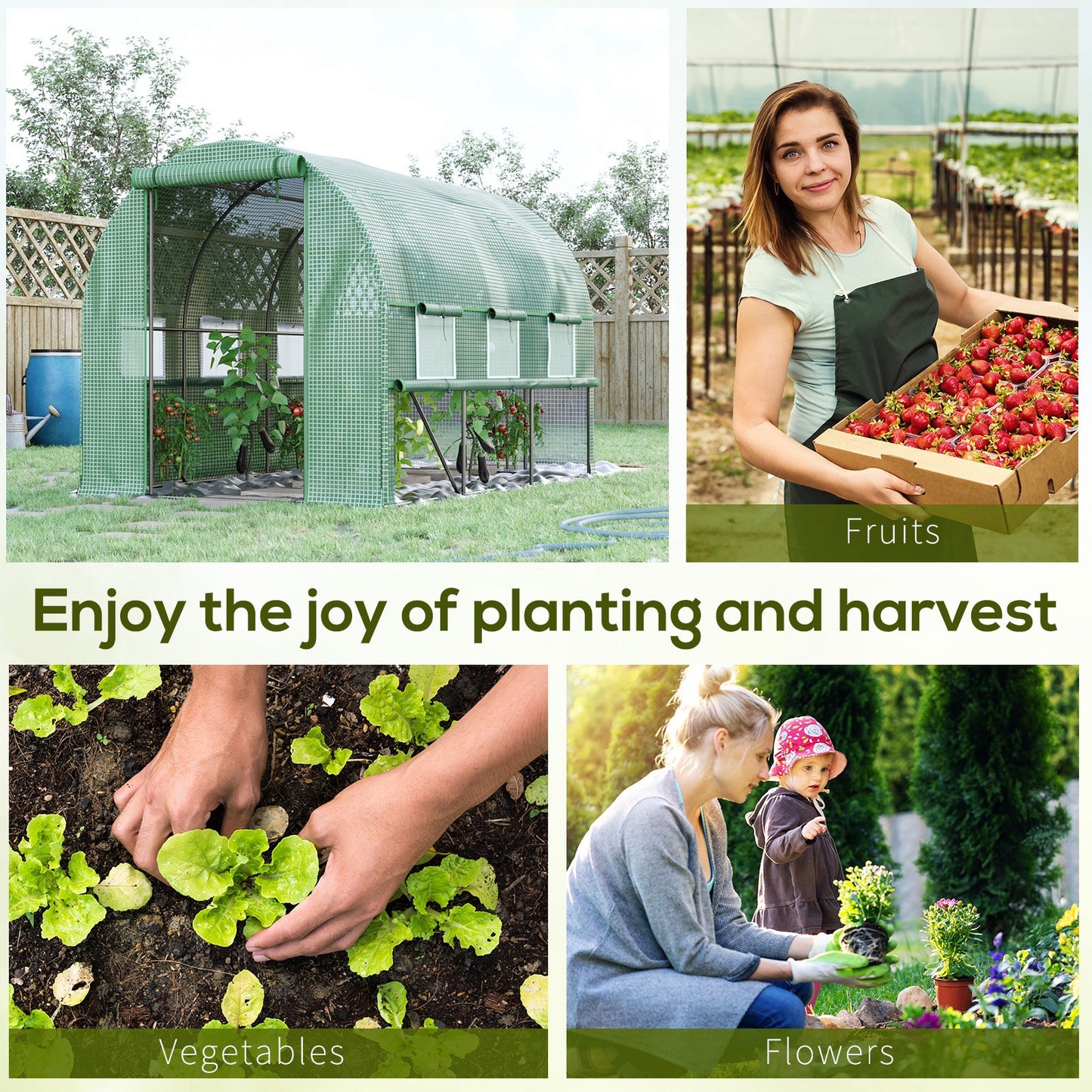 Walk-in Polytunnel Greenhouse Green House with Roll-up Sidewalls