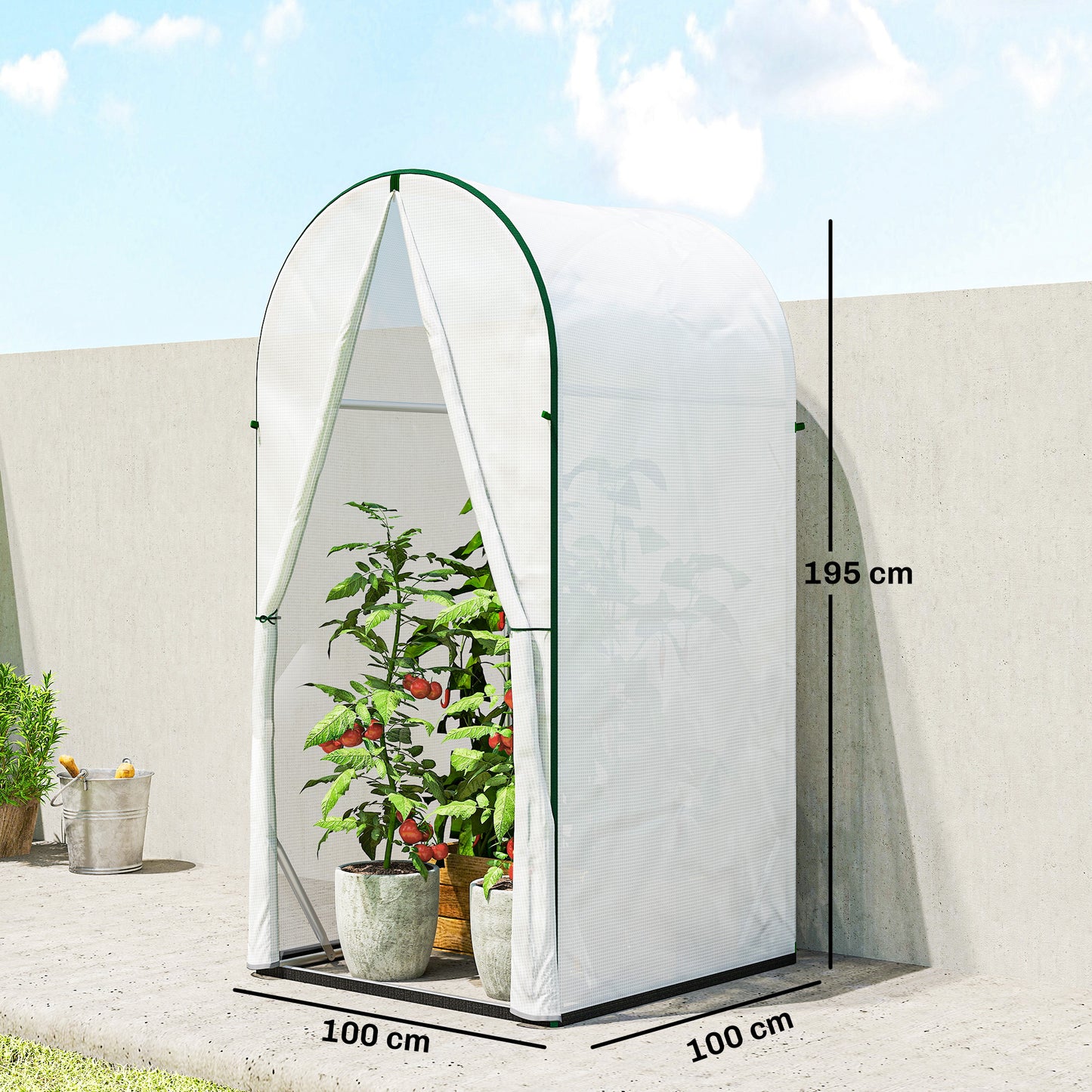 Mini Greenhouse, Portable Green House with Roll-Up Door, PE Base