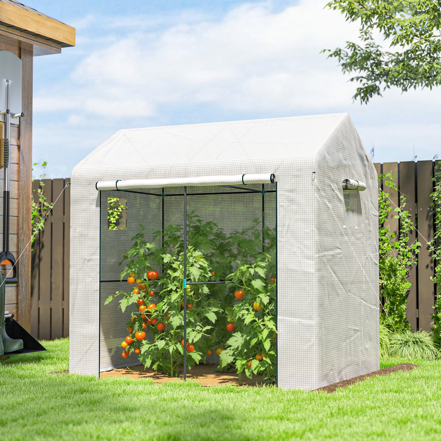 Walk-in Greenhouse, Outdoor Tomato Greenhouse with Roll-up Door