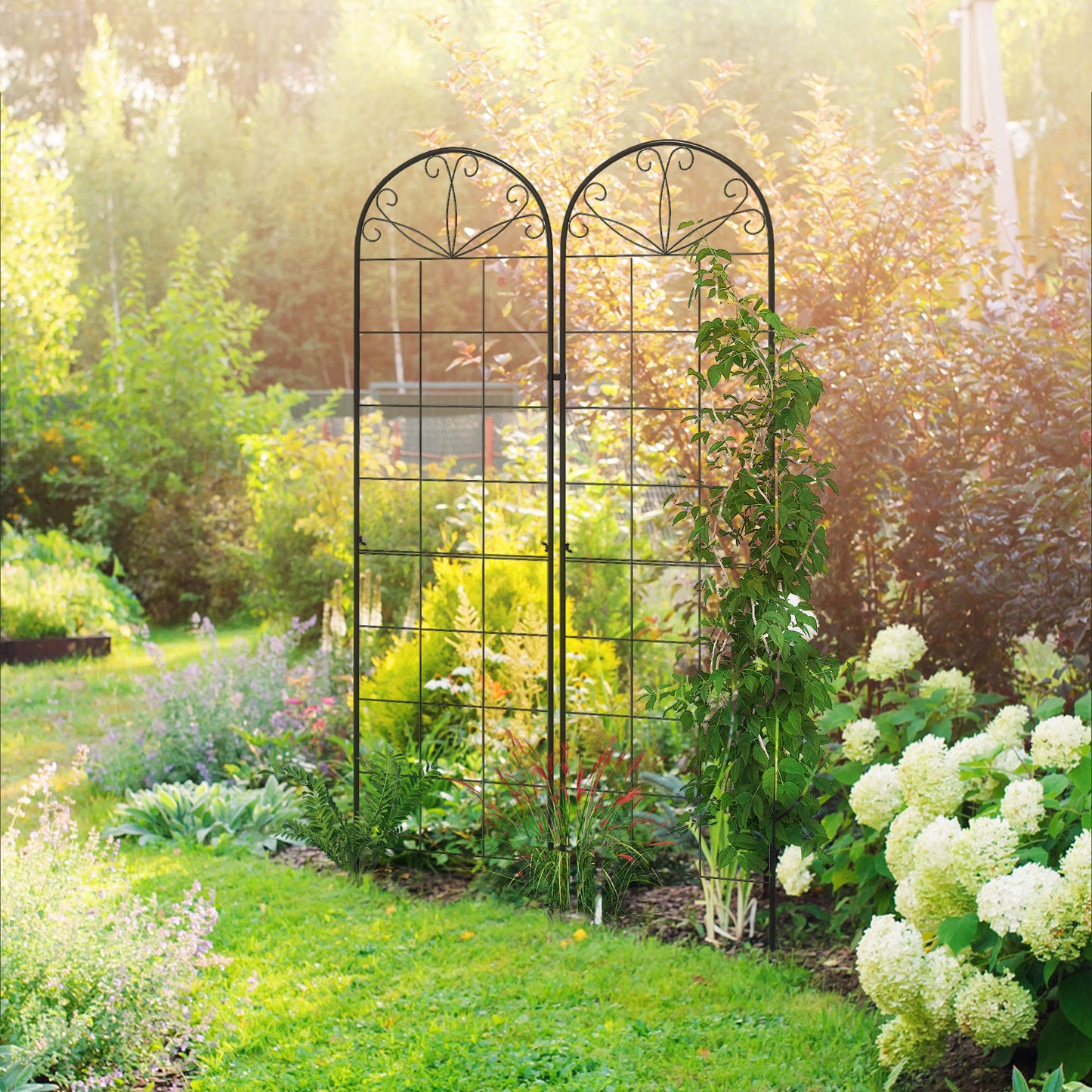 Metal Trellis Set of 2, Garden Trellis (3)