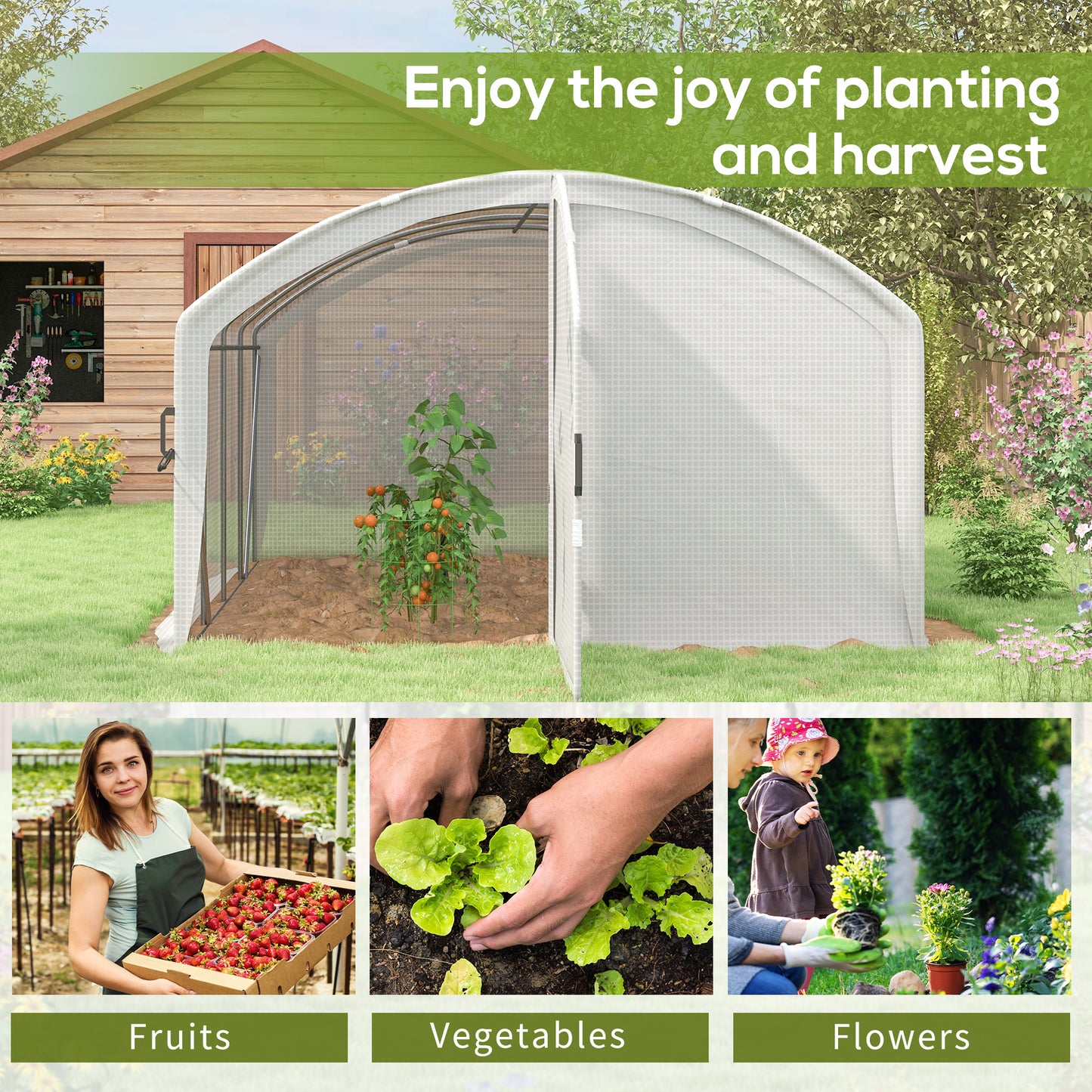 Polytunnel Greenhouse Walk-in Grow House with UV-resistant PE Cover (1)
