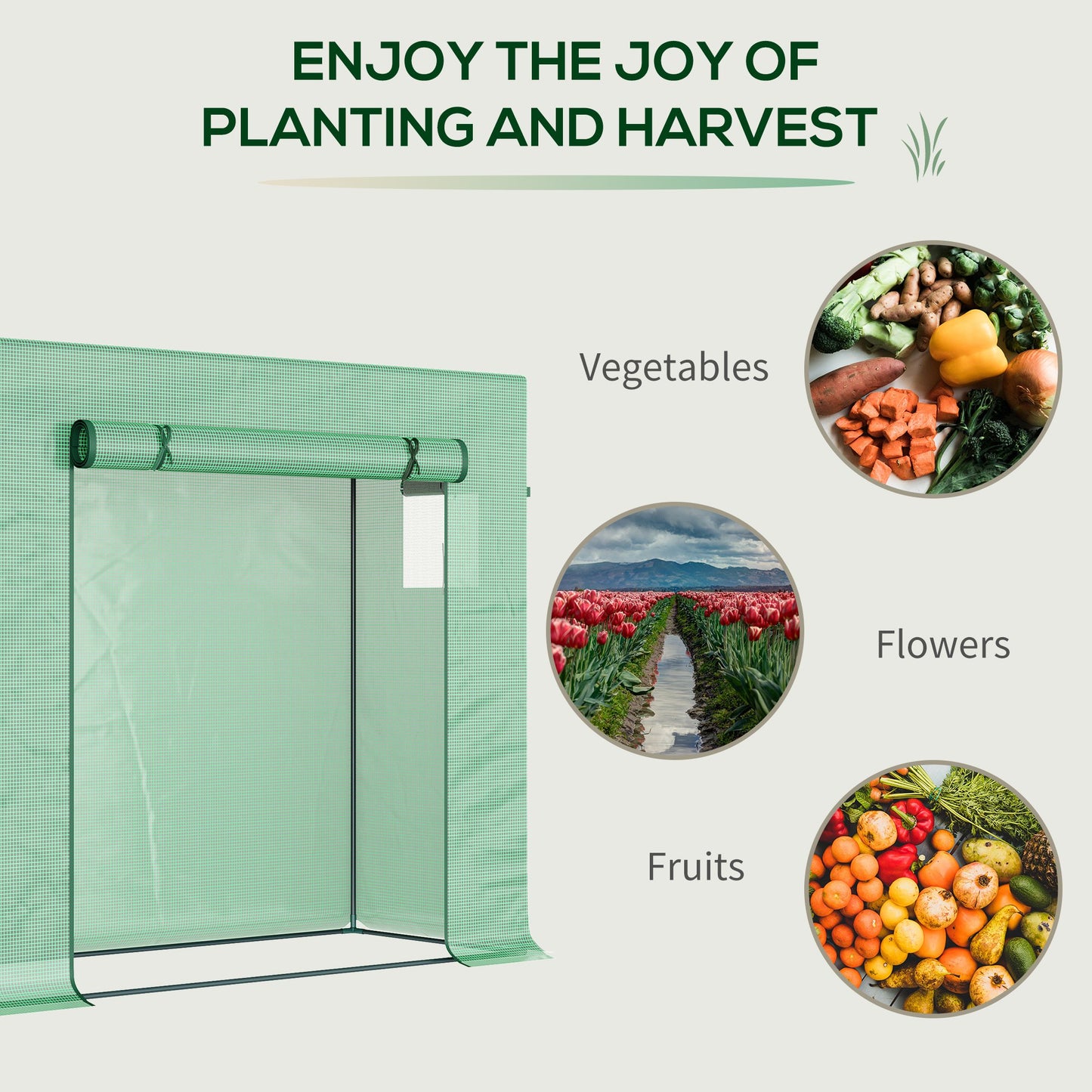 Small Walk-in Garden Greenhouse with Steel Frame