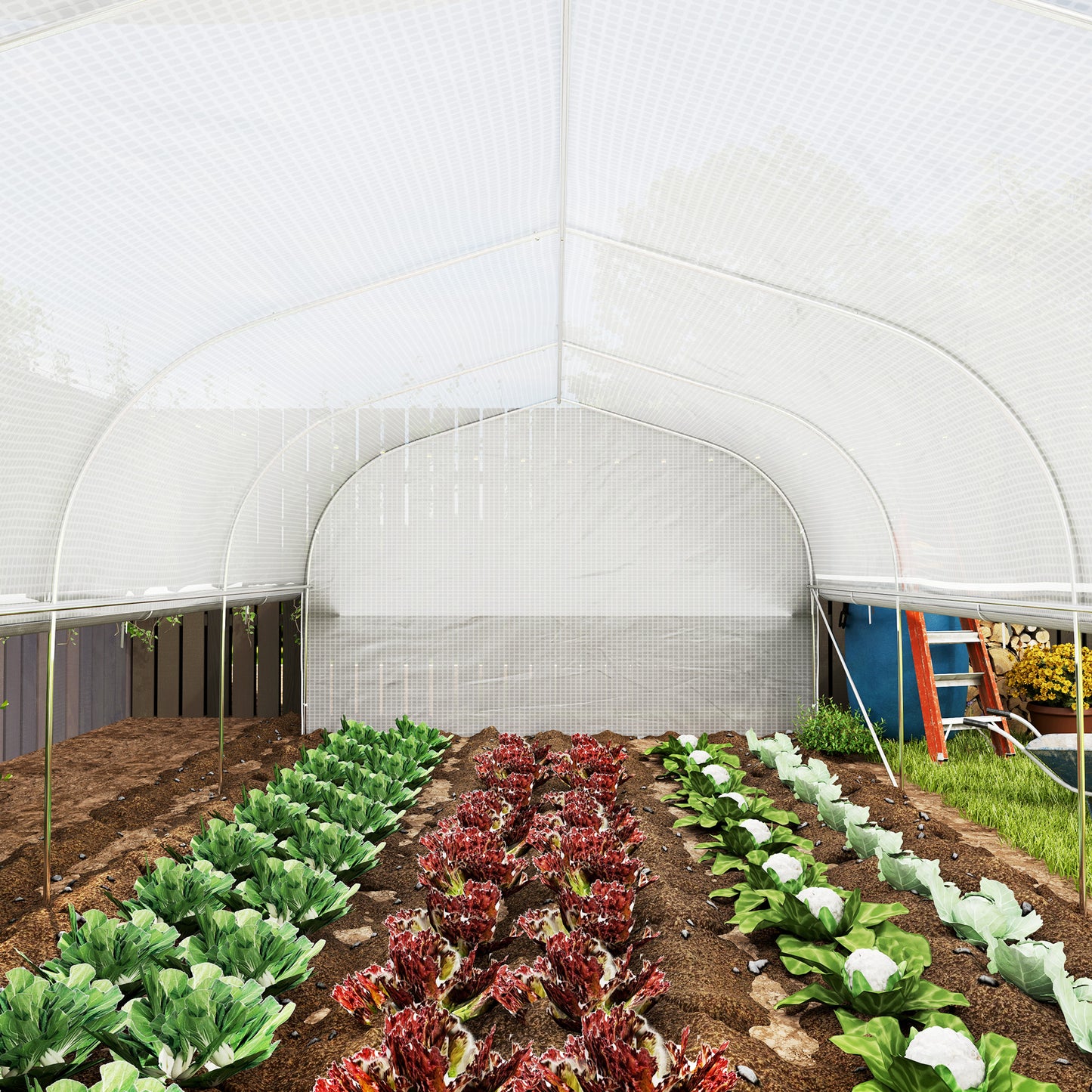 19.5 x 9.8ft Tunnel Greenhouse, with Accessories