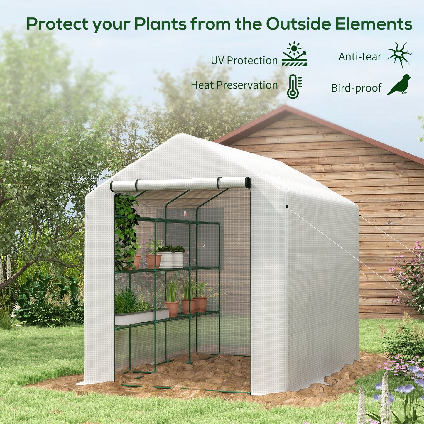 8 x 6ft Walk-In Greenhouse, with Shelves