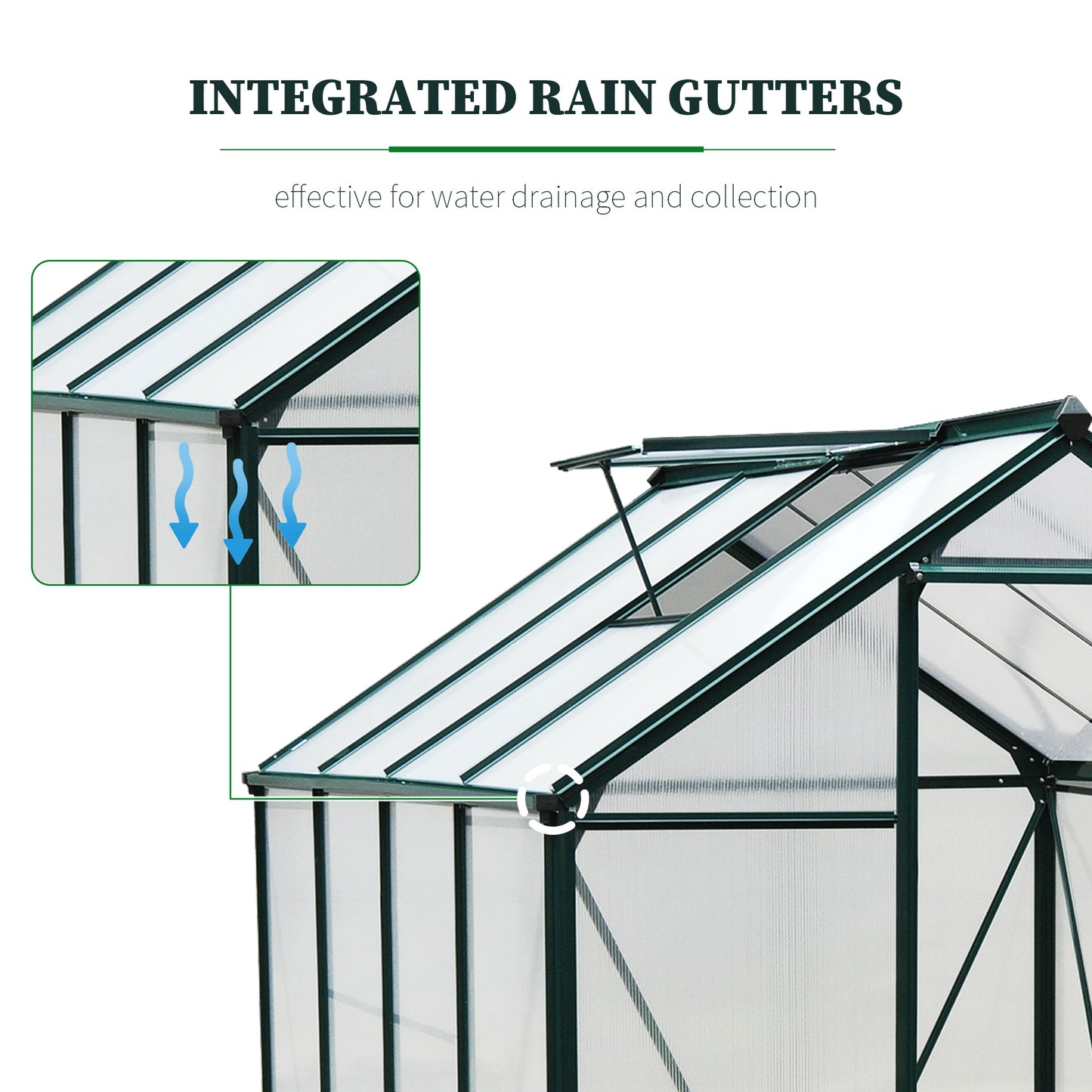 6 x 8ft Polycarbonate Greenhouse
