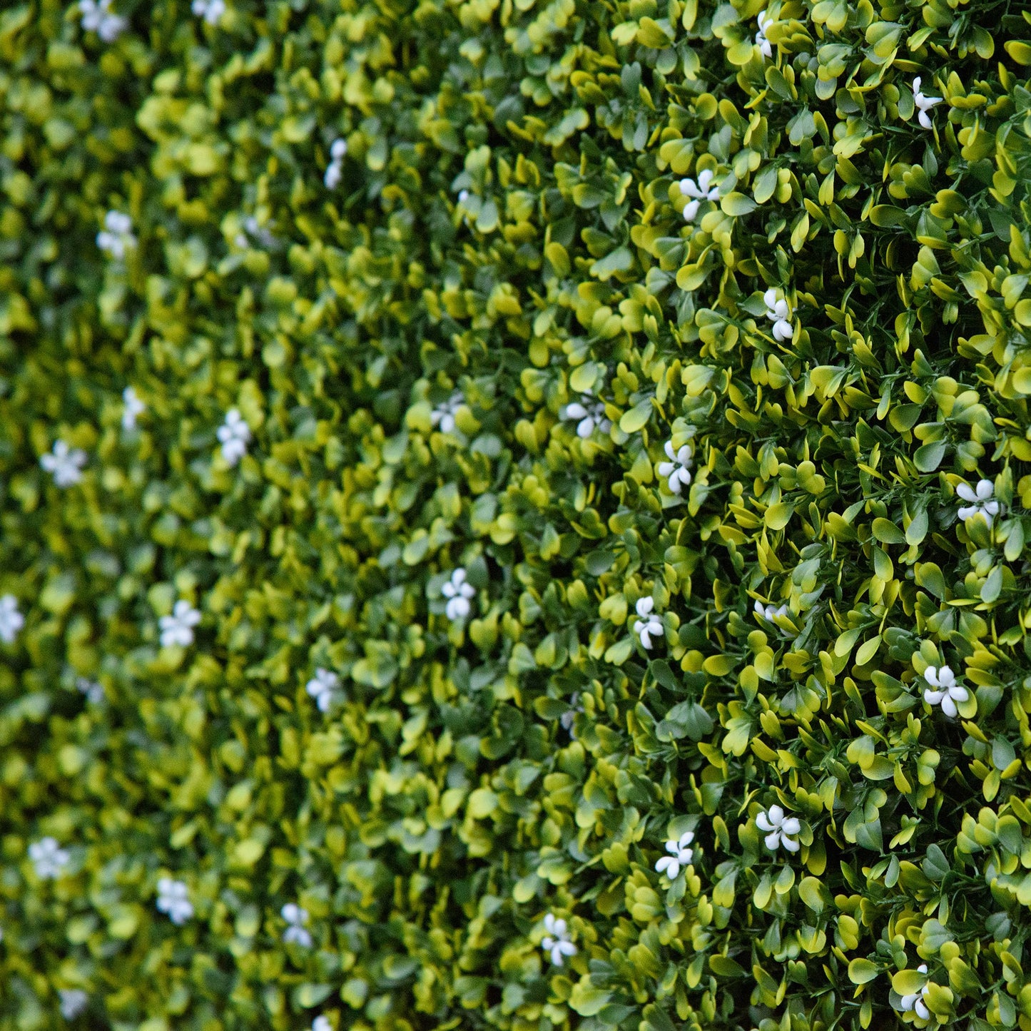 12PCS Artificial Boxwood Wall Panels 50cm x 50cm Grass Privacy