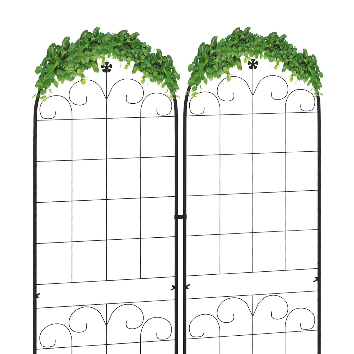 Metal Trellis Set of 2, Garden Trellis
