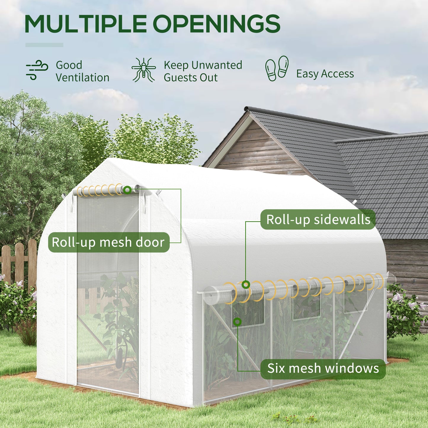 3 x 2(m) Walk-in Polytunnel Greenhouse, Zipped Roll Up Sidewalls