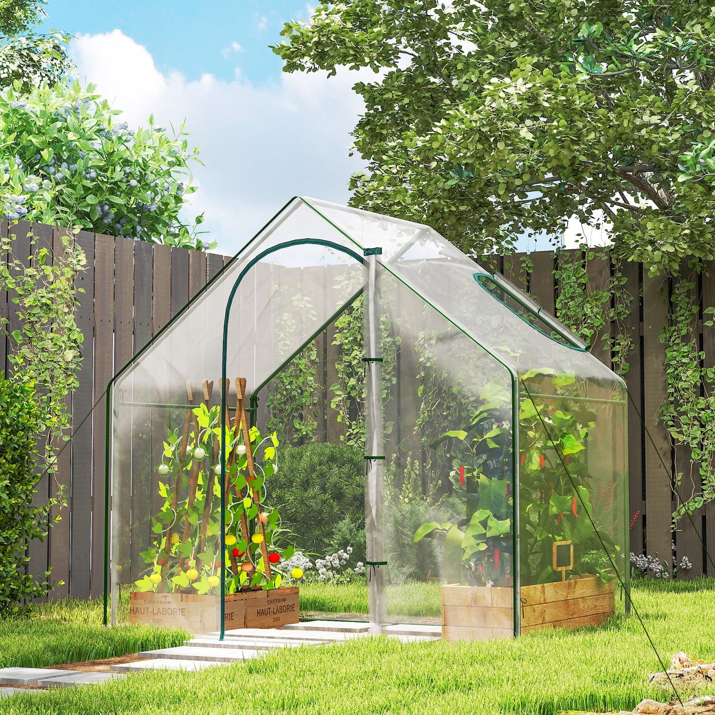 Walk In Tomato Greenhouse Garden Outdoor Mini Greenhouse Flower (1)