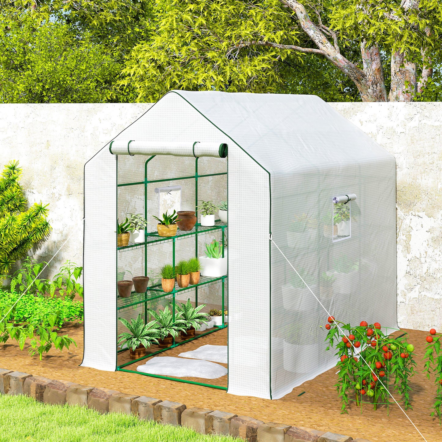 Walk-in Greenhouse with 3 Tier 12 Shelves
