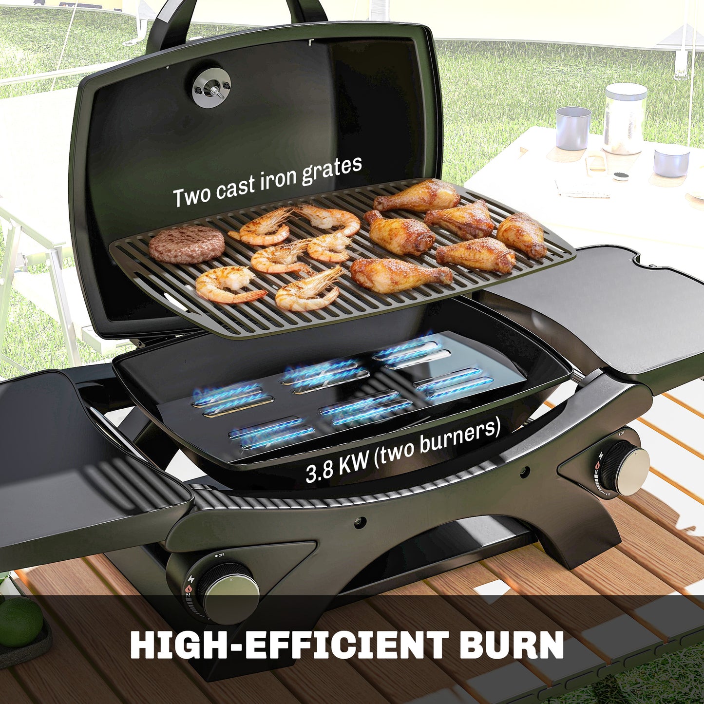 2 Burner Gas Grill with 2 Detachable Side Tables