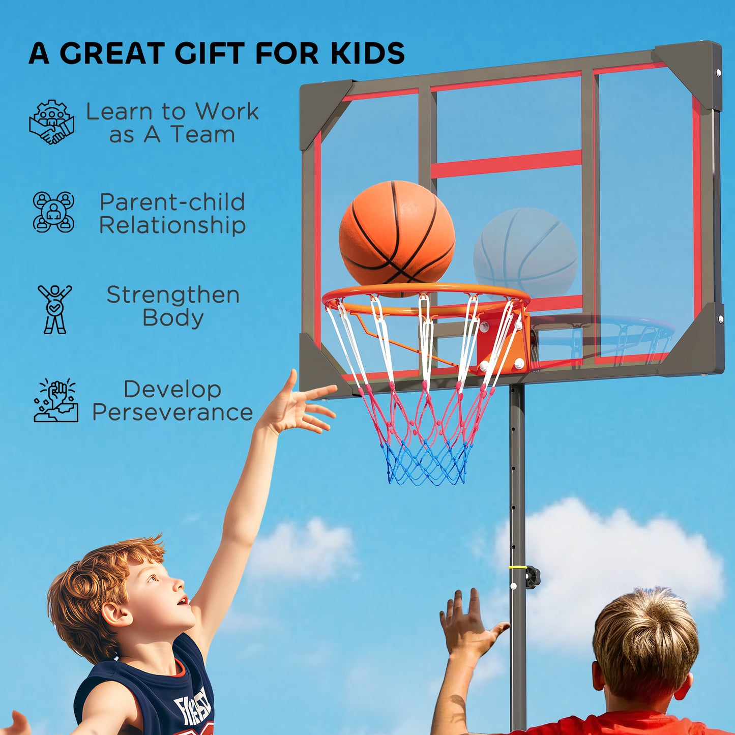 Basketball Hoop Outdoor Indoor