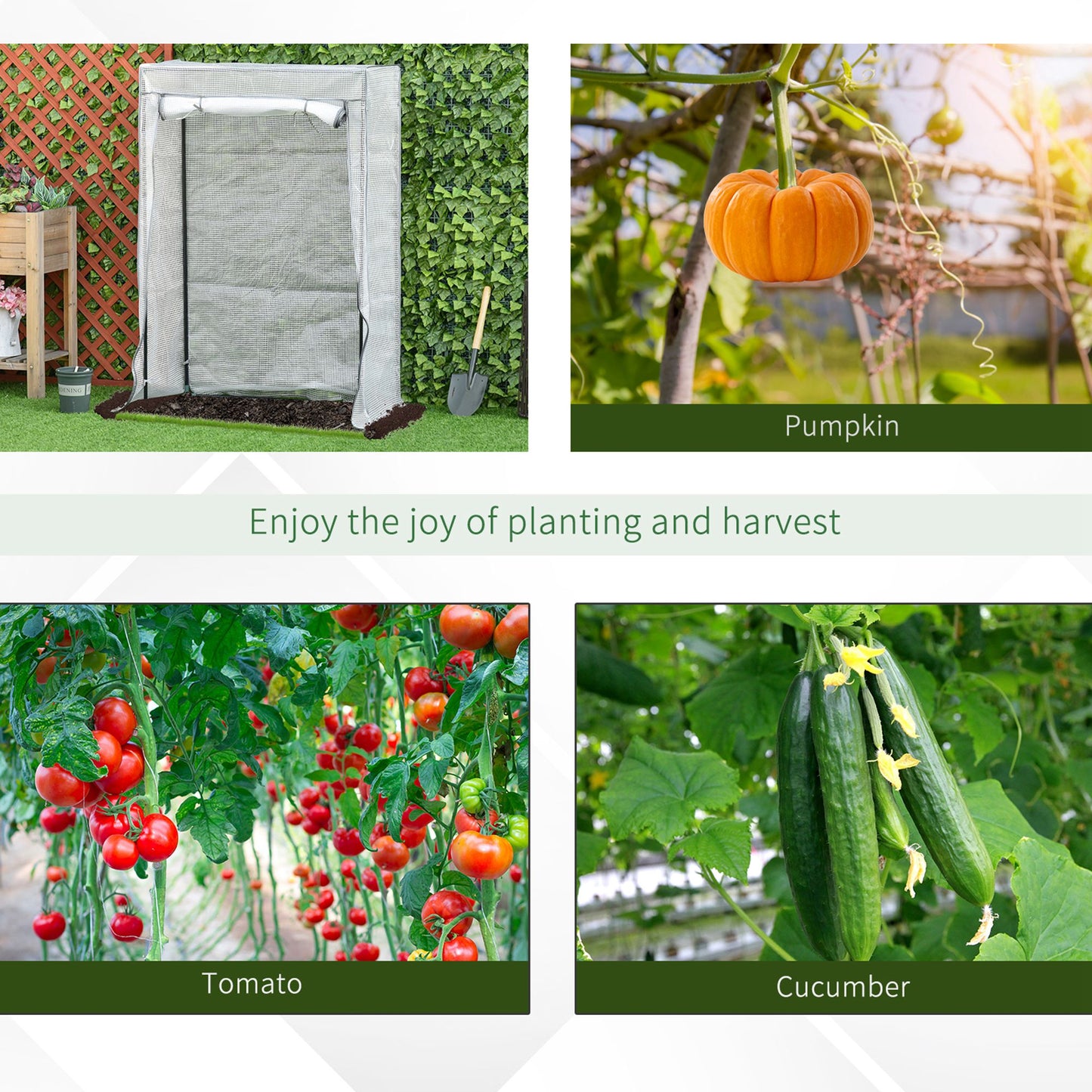 100 x 50 x 150cm Tomato Greenhouse with Roll-up Door