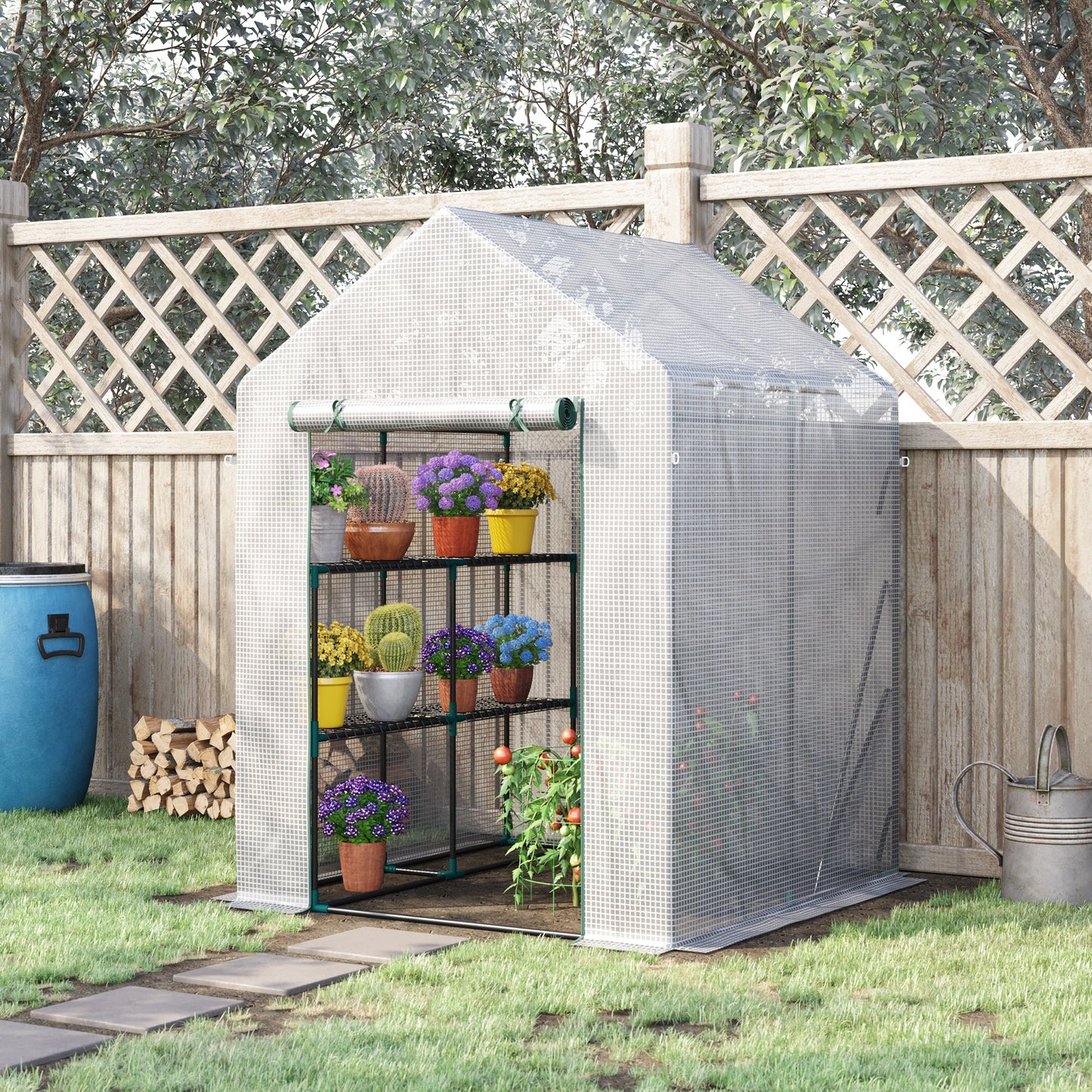 Walk In Greenhouse with 2 Tier Shelf (1)