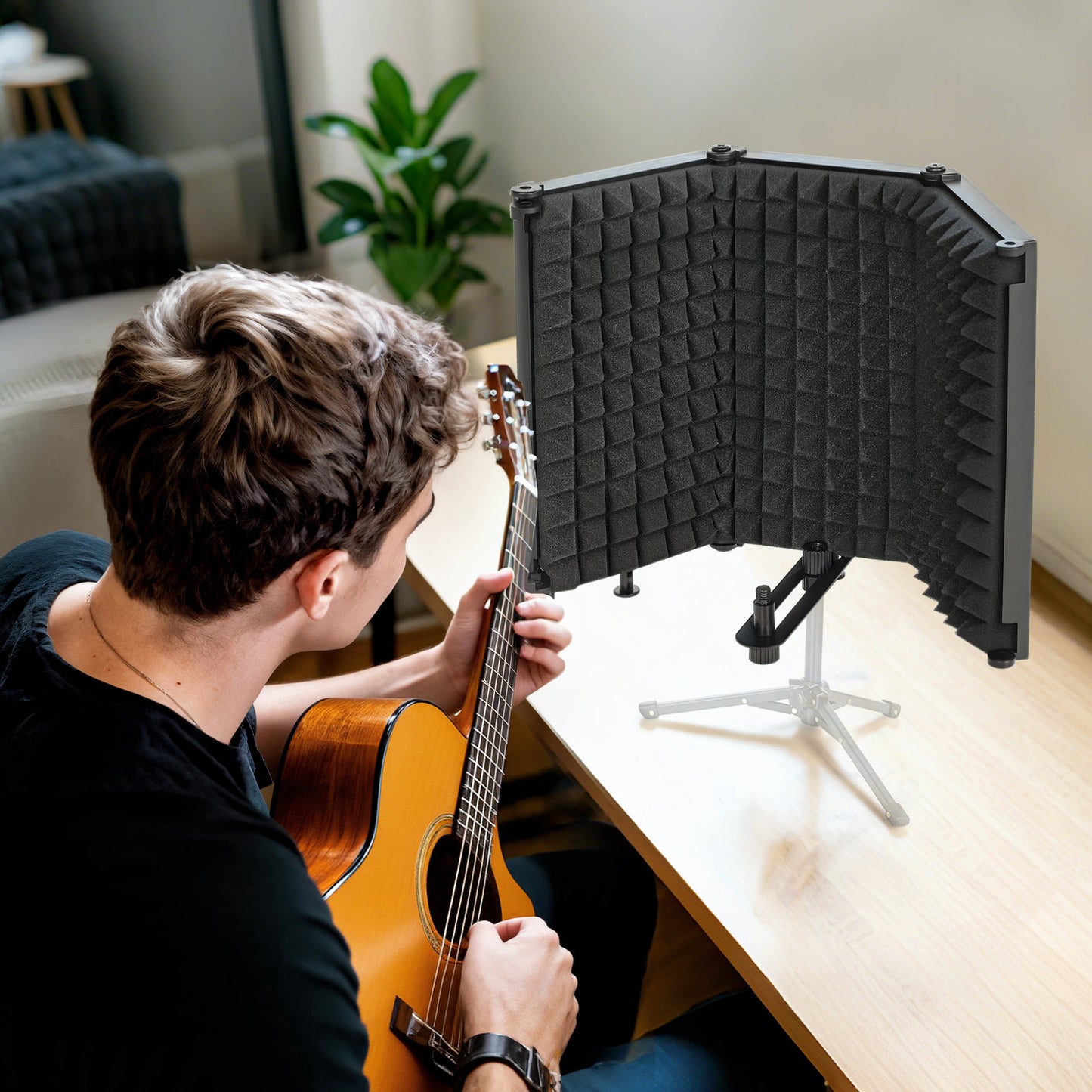 Studio Microphone Isolation Shield
