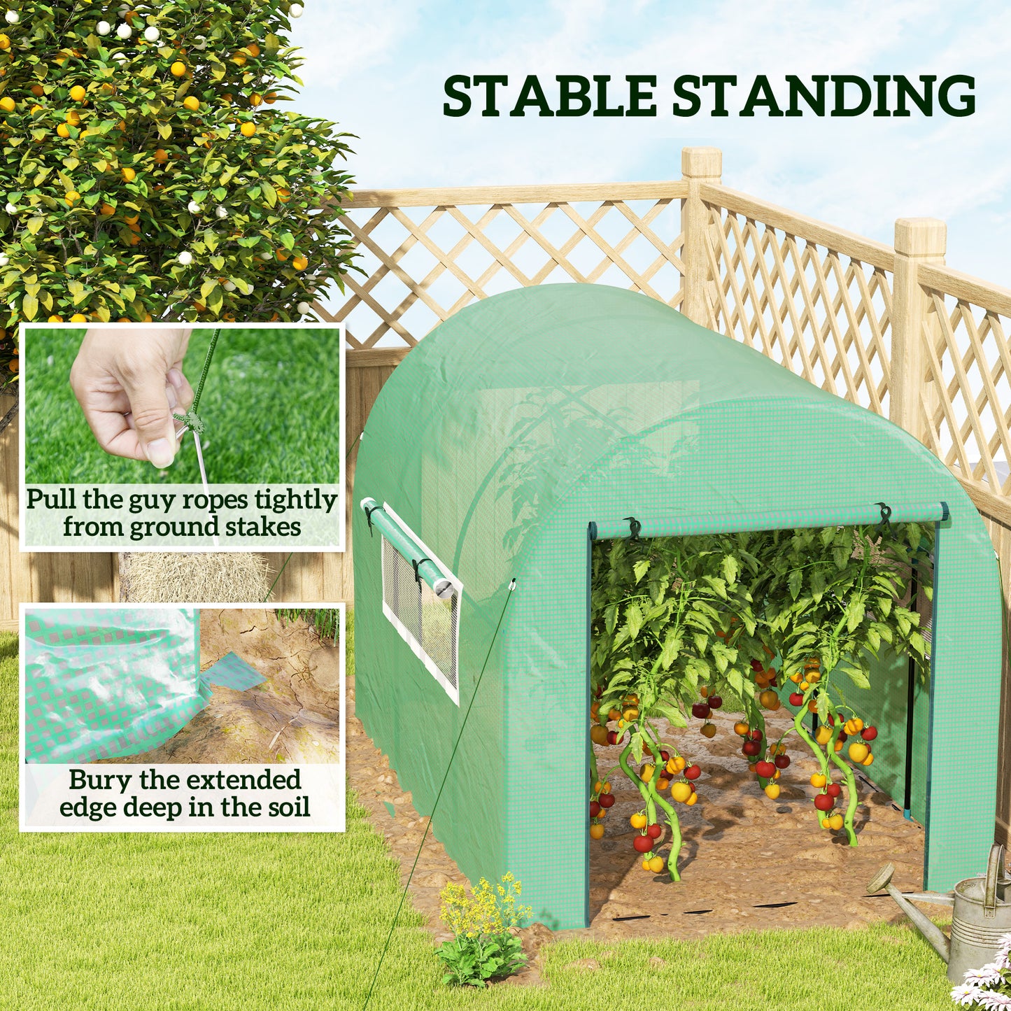 300 x 200cm Walk-In Polytunnel Greenhouse