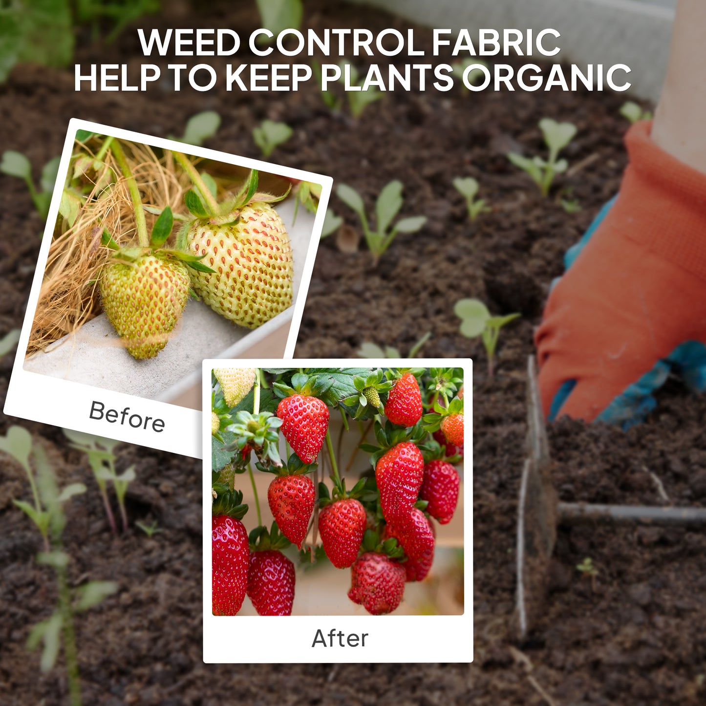 2m x 90m Weed Control Membrane