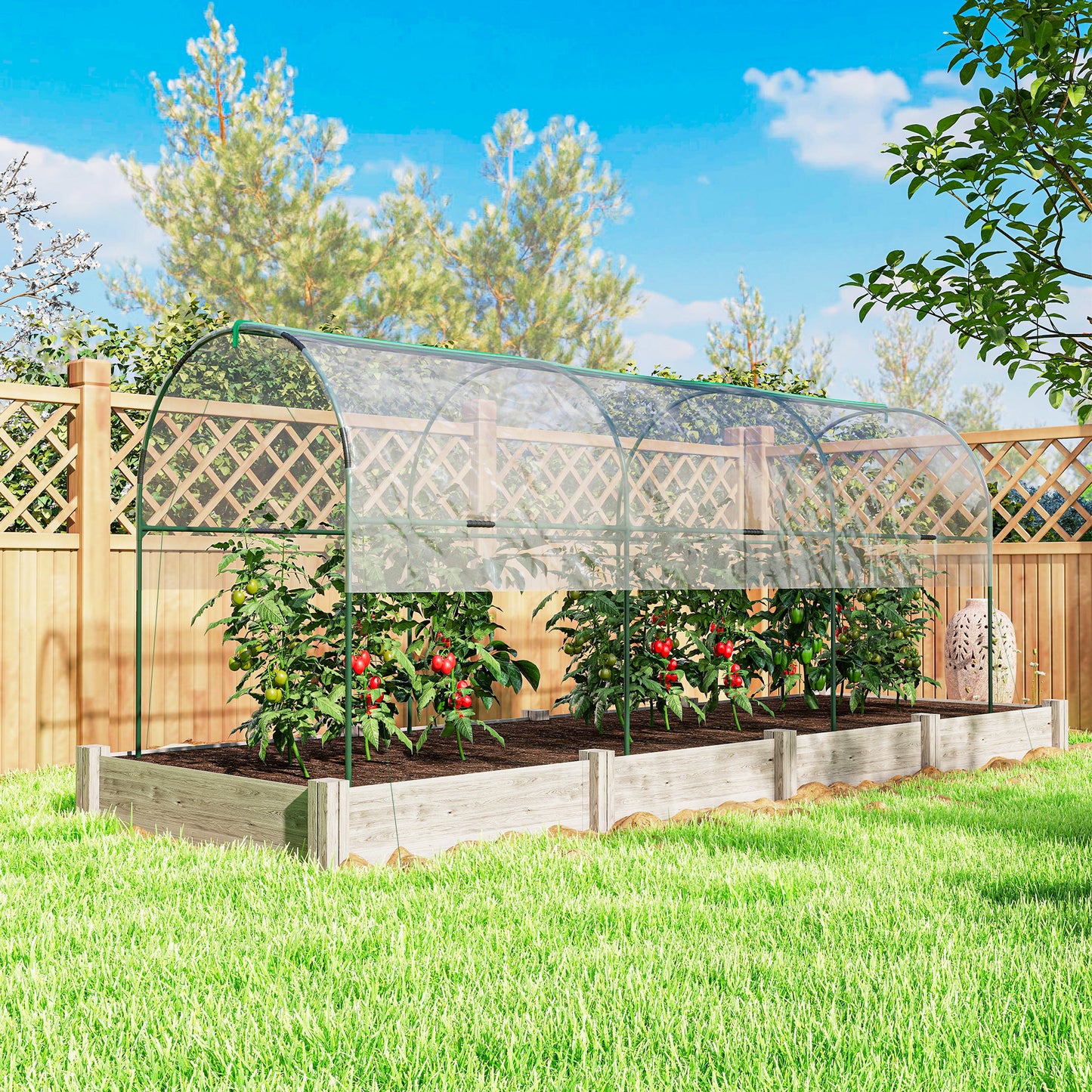 Tunnel Tomato Greenhouse with 4 Hoops and Top Tap