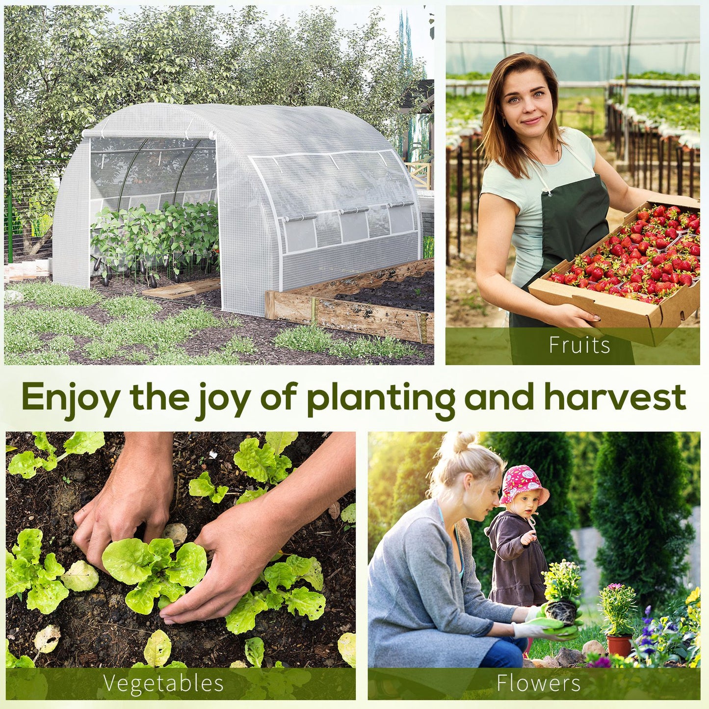 3 x 3 x 2 m Polytunnel Greenhouse with Roll-up Side Walls
