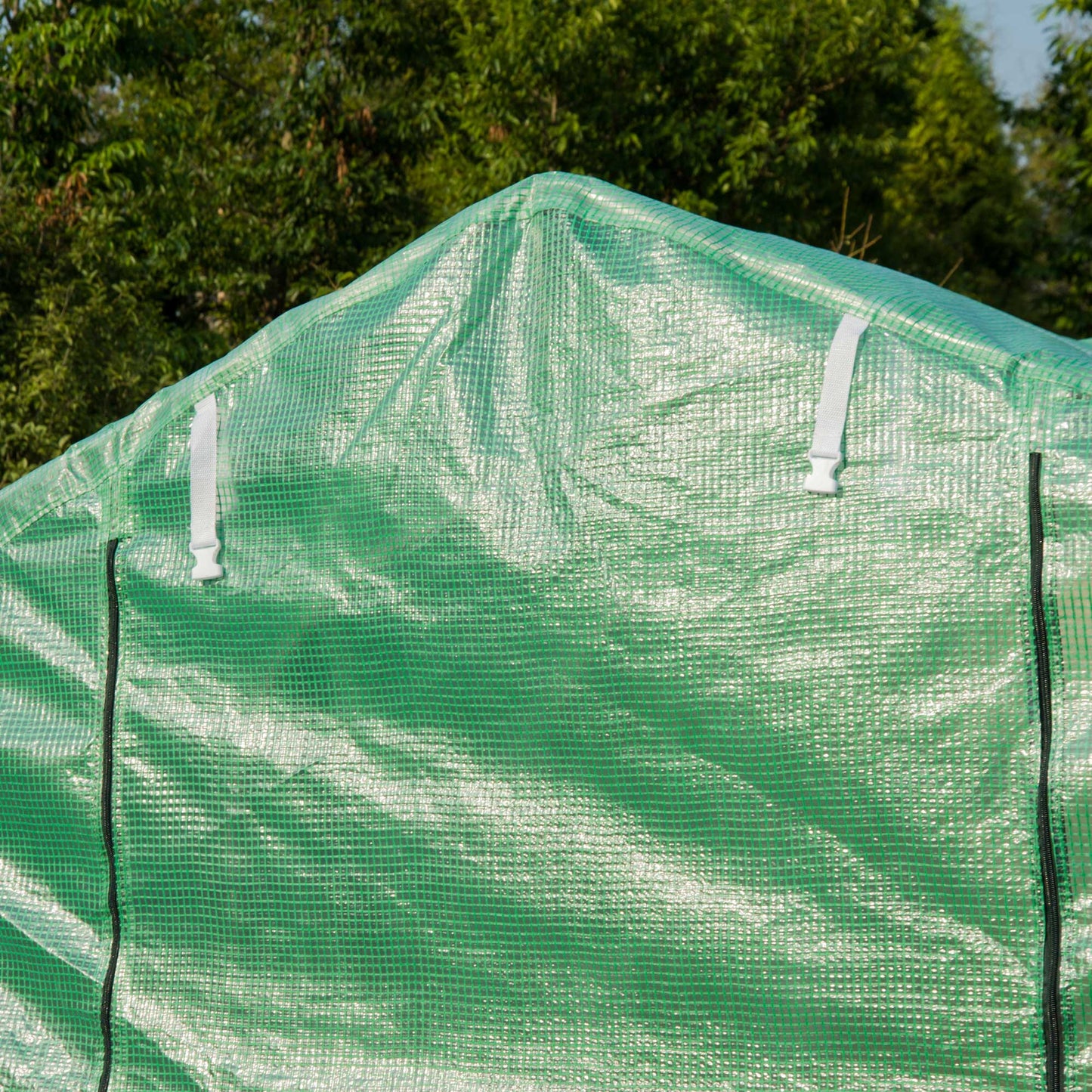 Polytunnel Greenhouse with Windows and Door