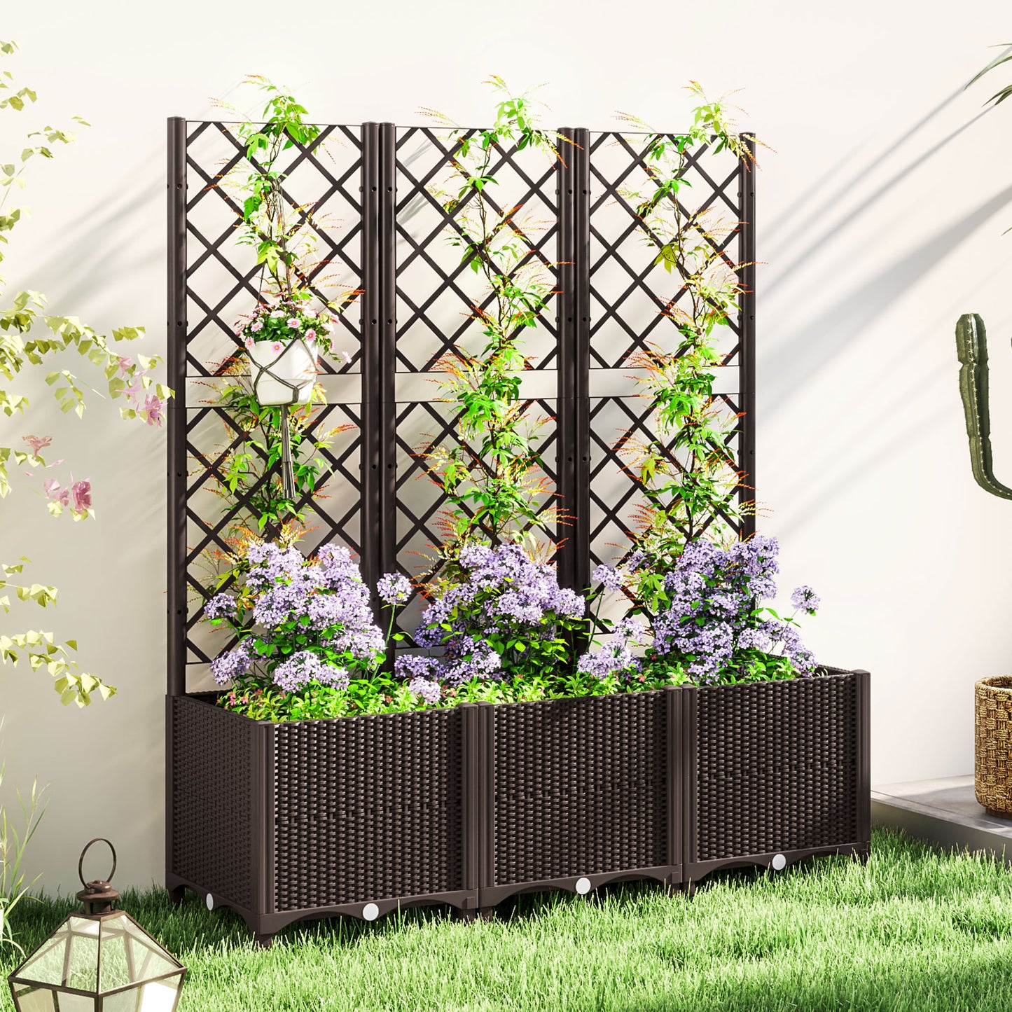 Raised Garden Bed with Trellis (3)