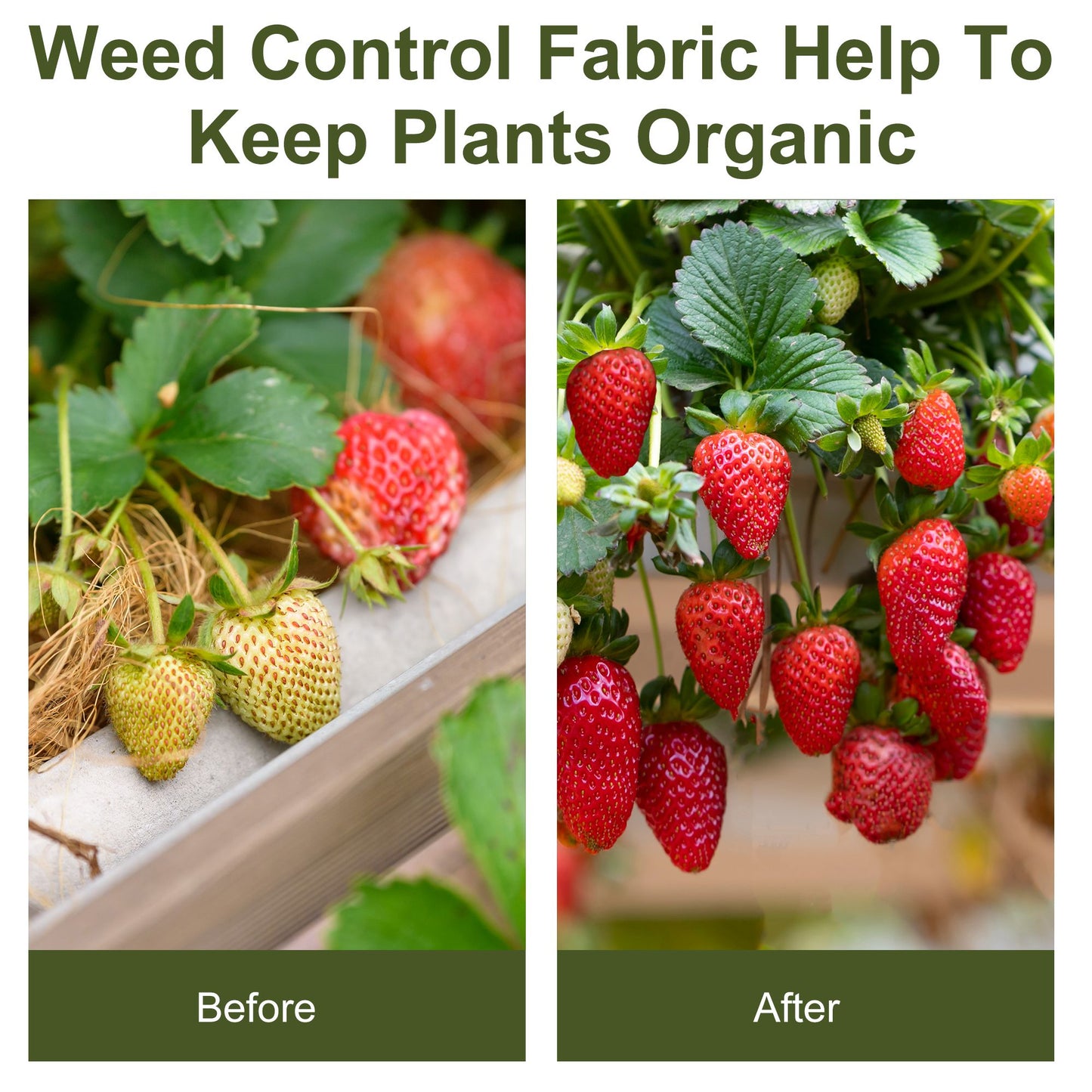 1m x 50m Weed Control Membrane