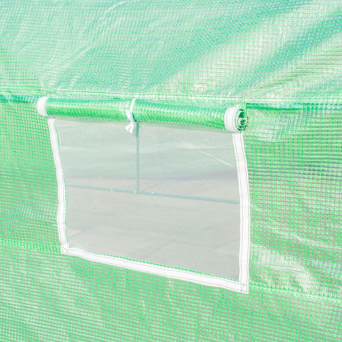 Polytunnel Greenhouse with Windows and Door (1)