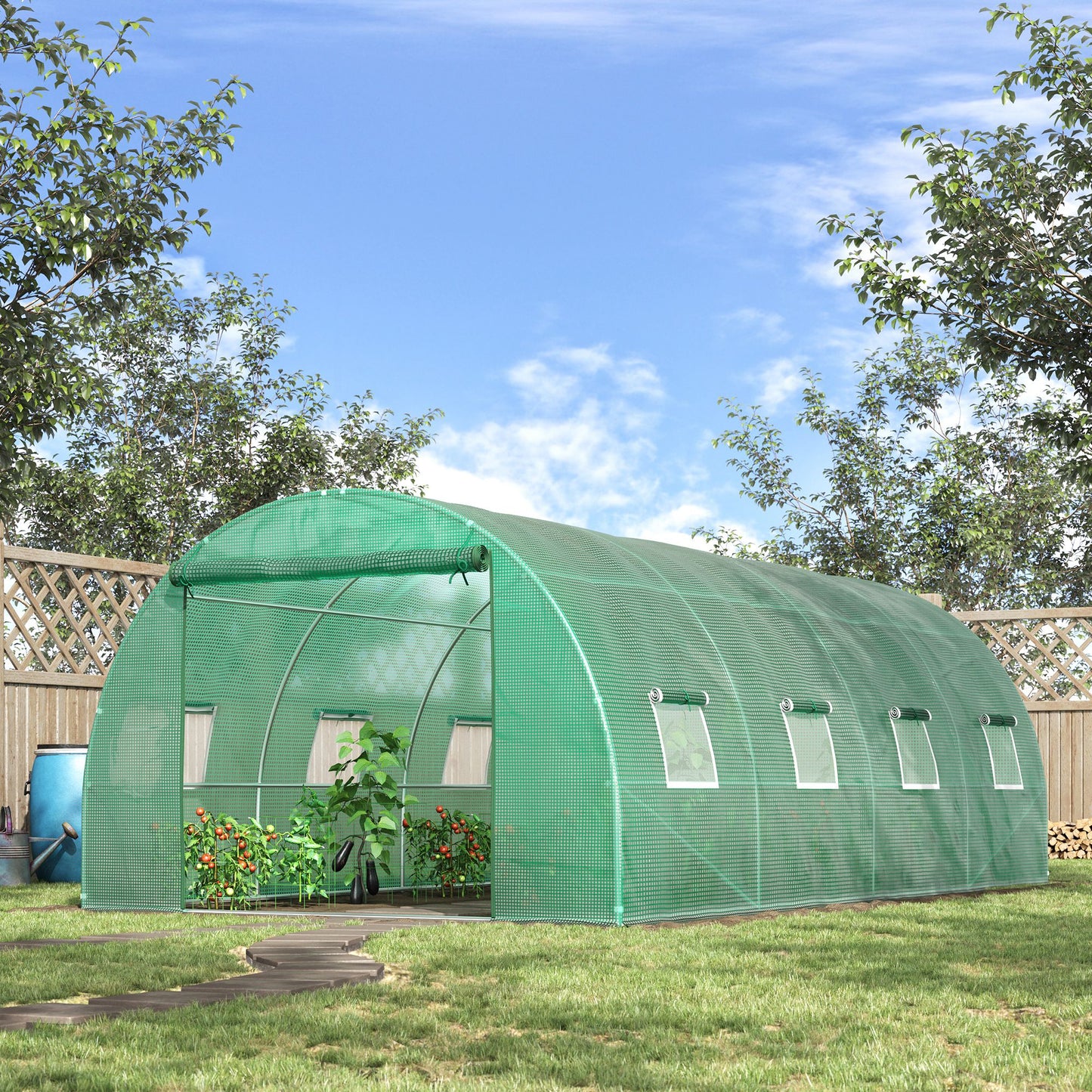 Walk-in Polytunnel Greenhouse (3)