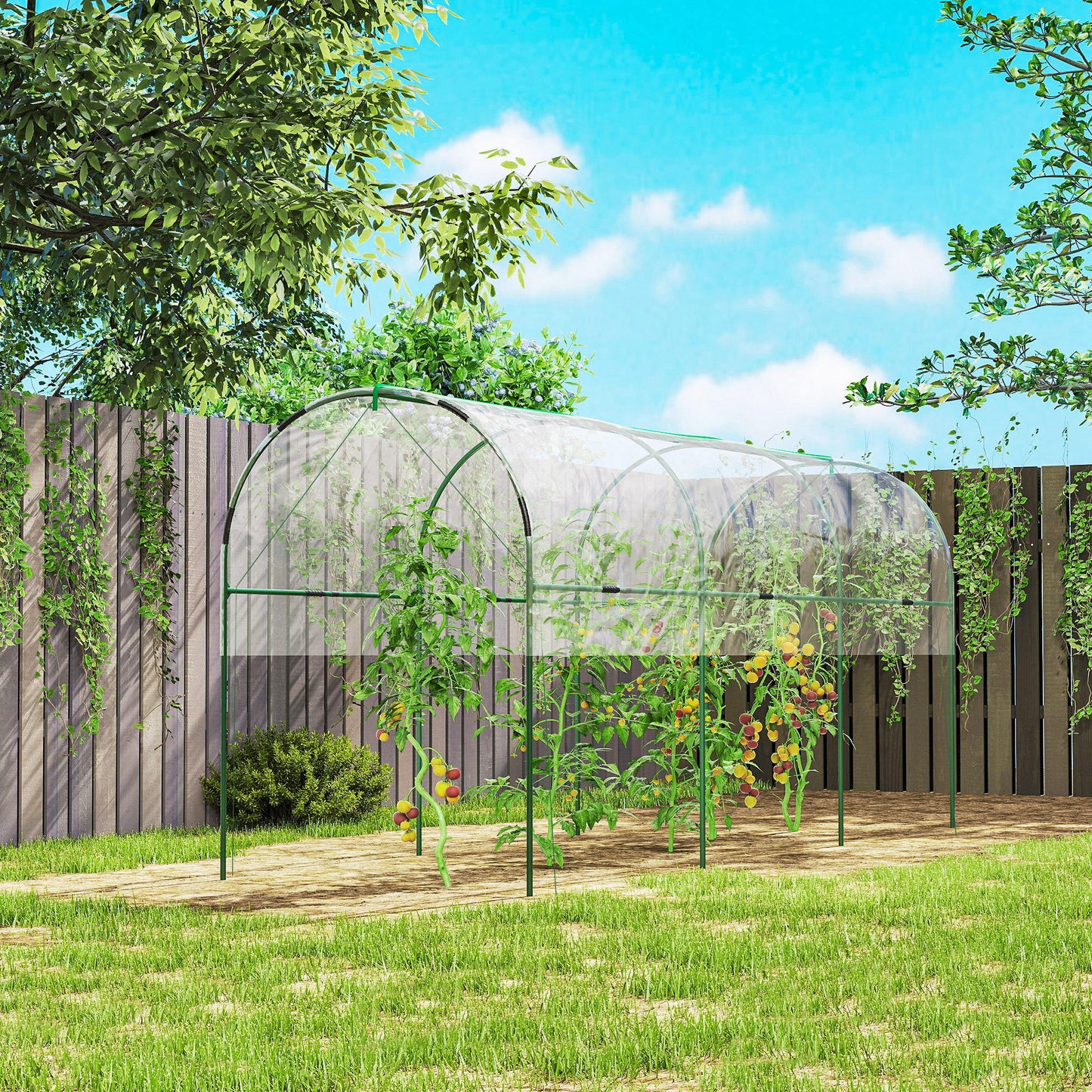 Tunnel Tomato Greenhouse with 4 Hoops and Top Tap