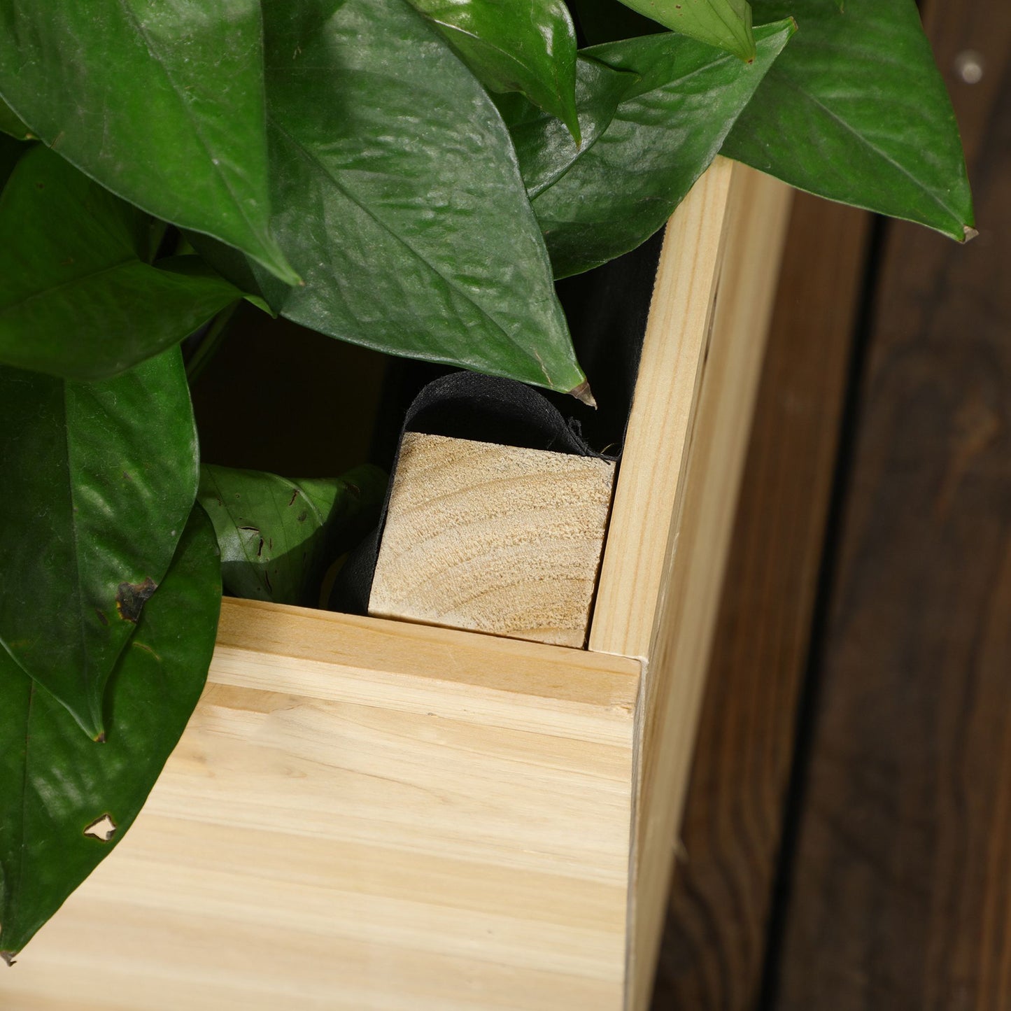 Garden Planters with Trellis for Vine Climbing (1)