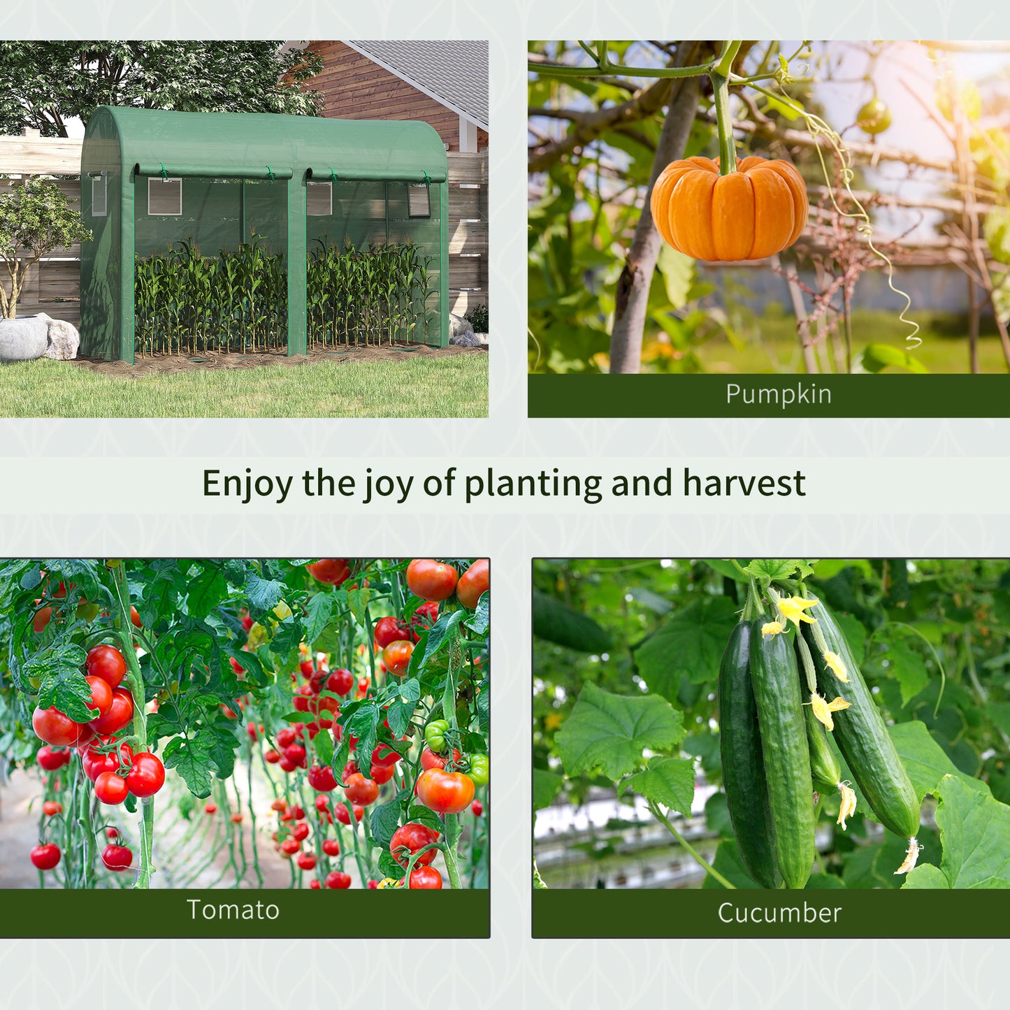 Walk-in Greenhouse, Tomato Greenhouse with Double Doors & 4 Windows
