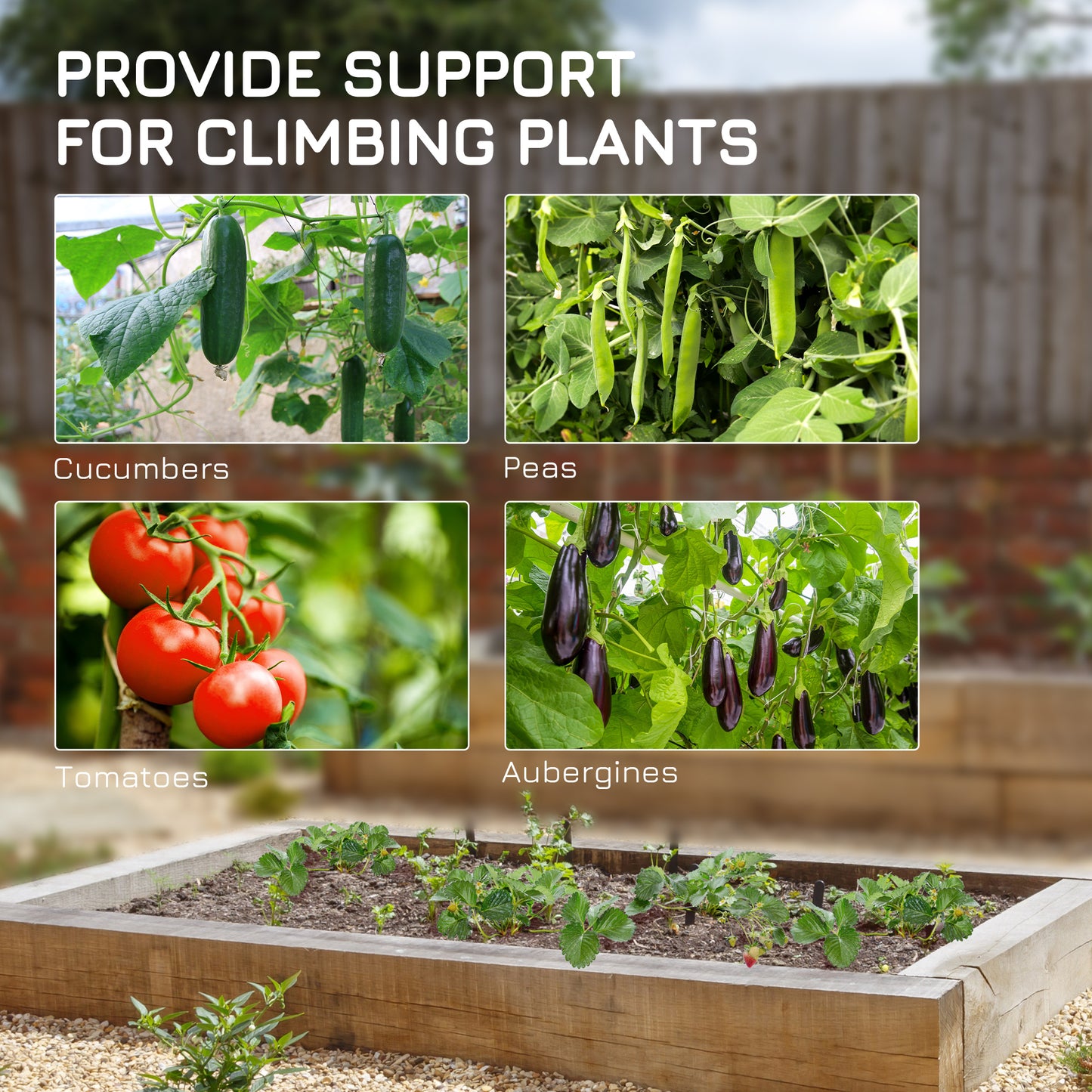 Garden Cucumber Trellis for Climbing Plants