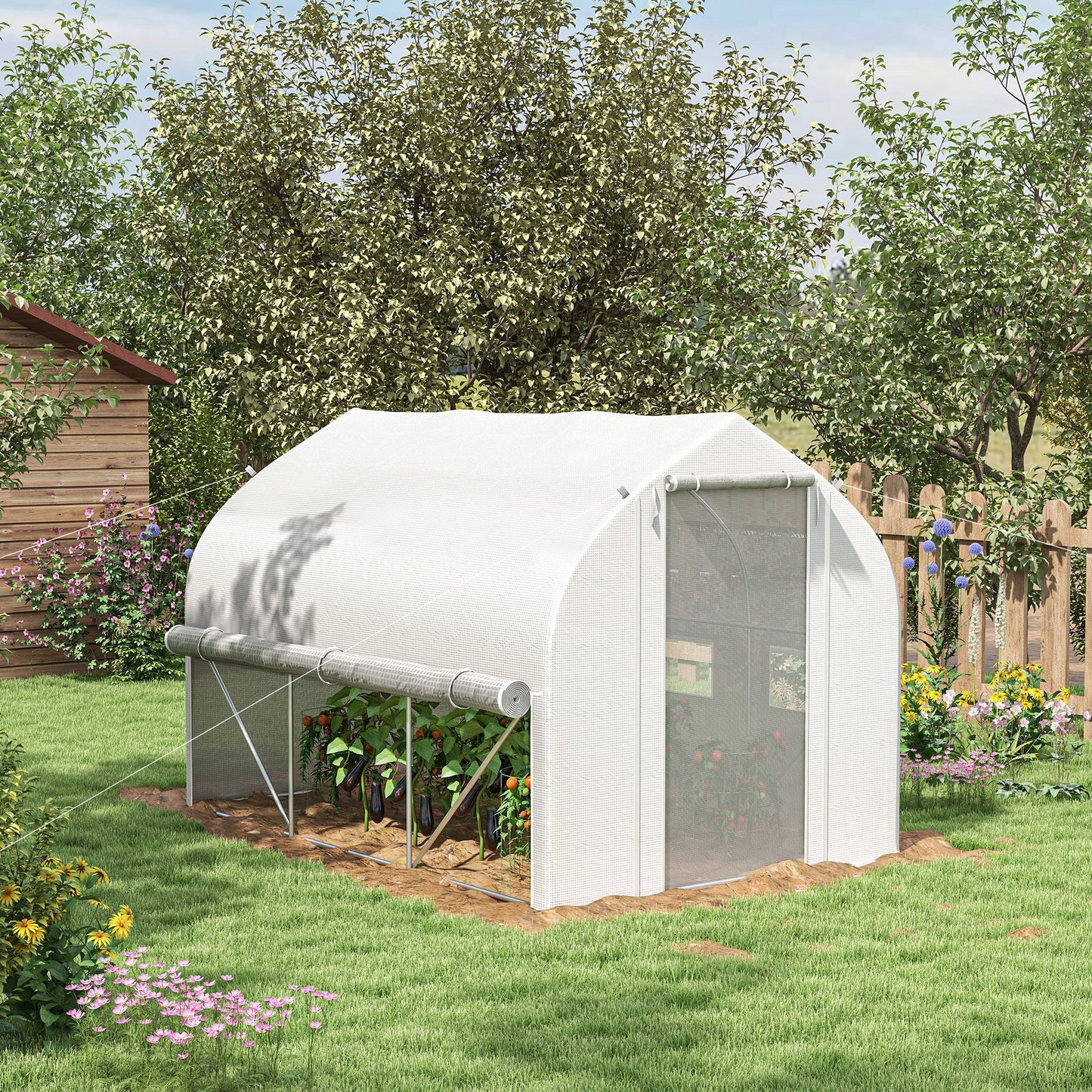 3 x 2(m) Walk-in Polytunnel Greenhouse, Zipped Roll Up Sidewalls