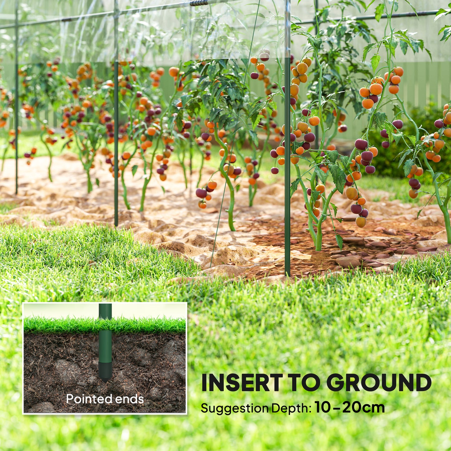 Tunnel Tomato Greenhouse with 4 Hoops and Top Tap
