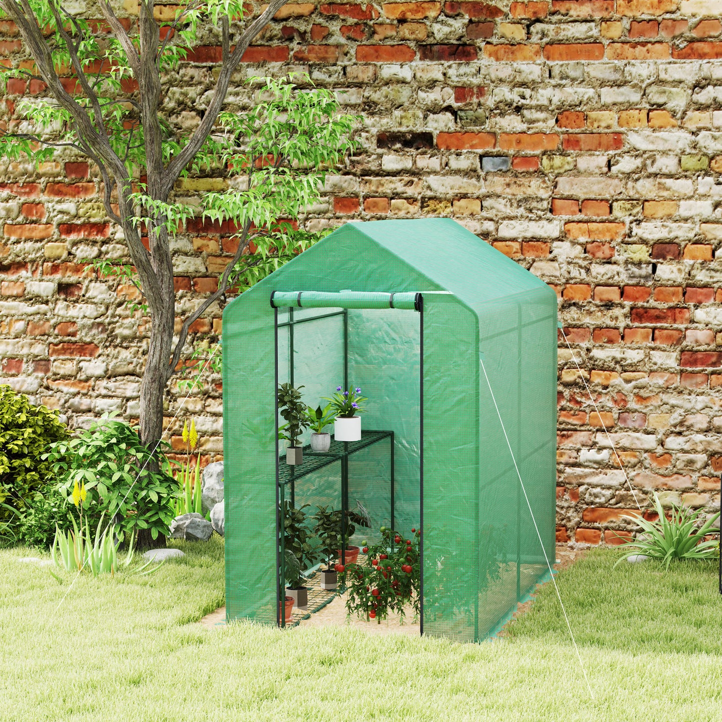 120 x 186cm Walk-In Greenhouse, with Shelves