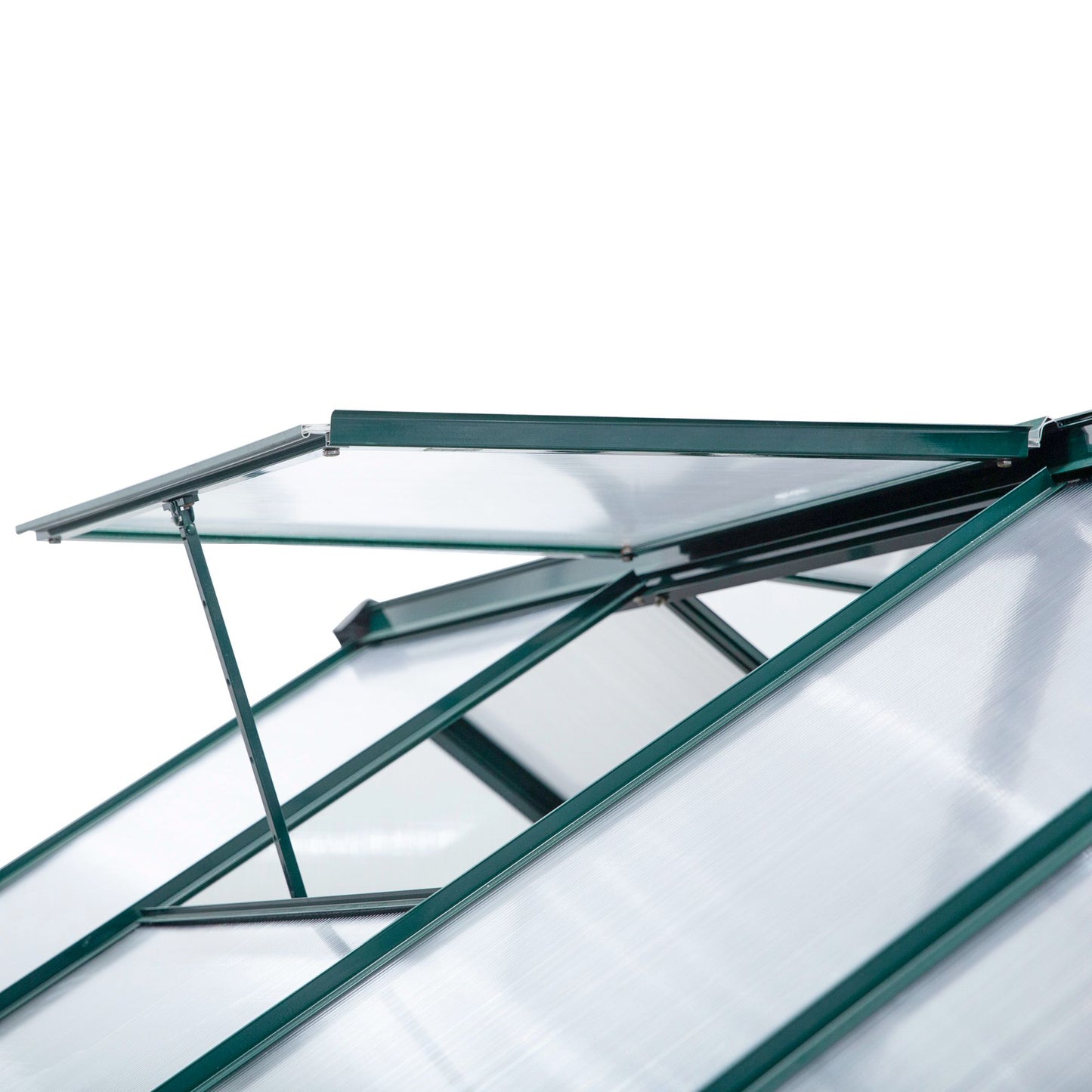 6 x 10ft Polycarbonate Greenhouse